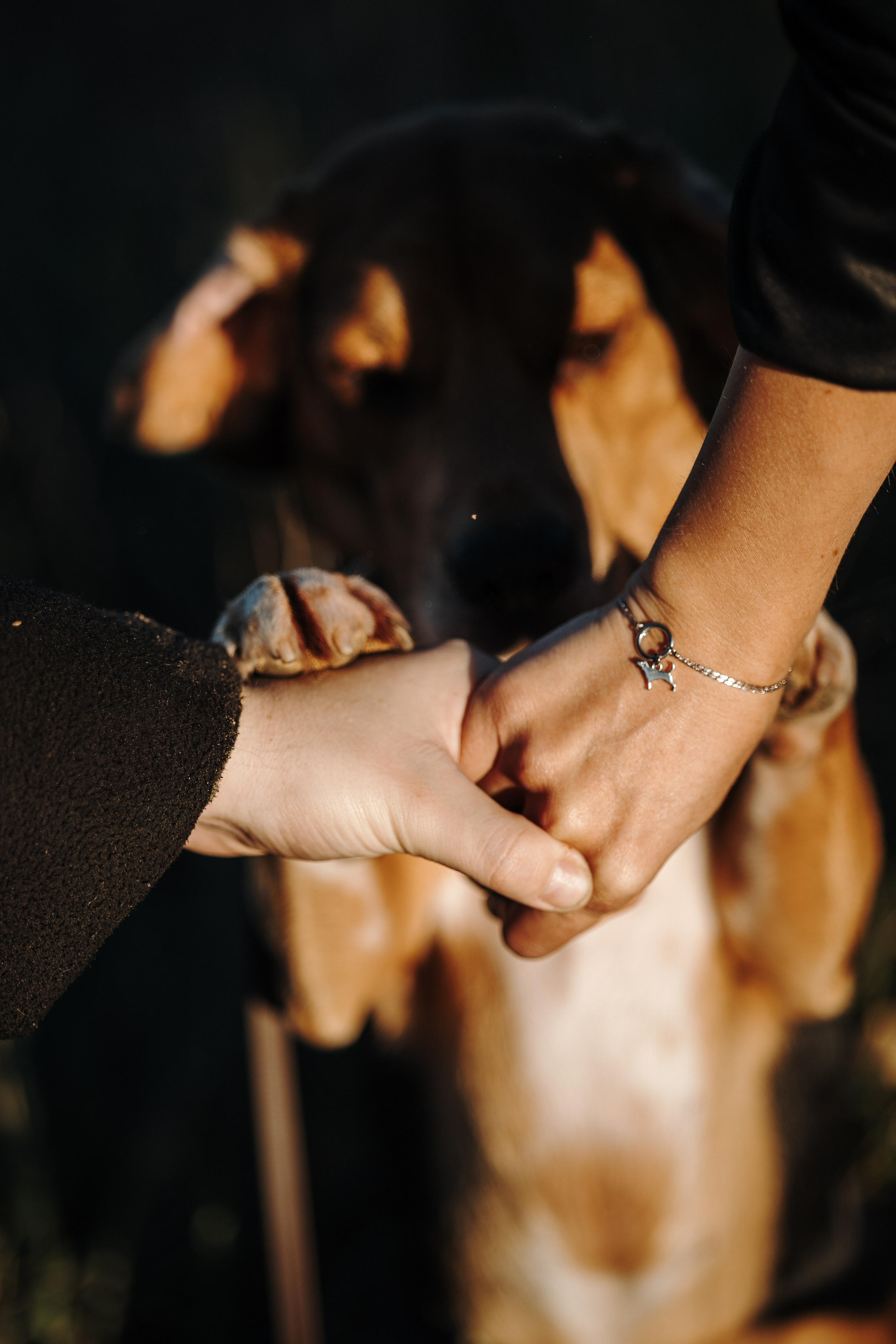 Оуджи и его семья. Фотограф — Анималист | Санкт-Петербург