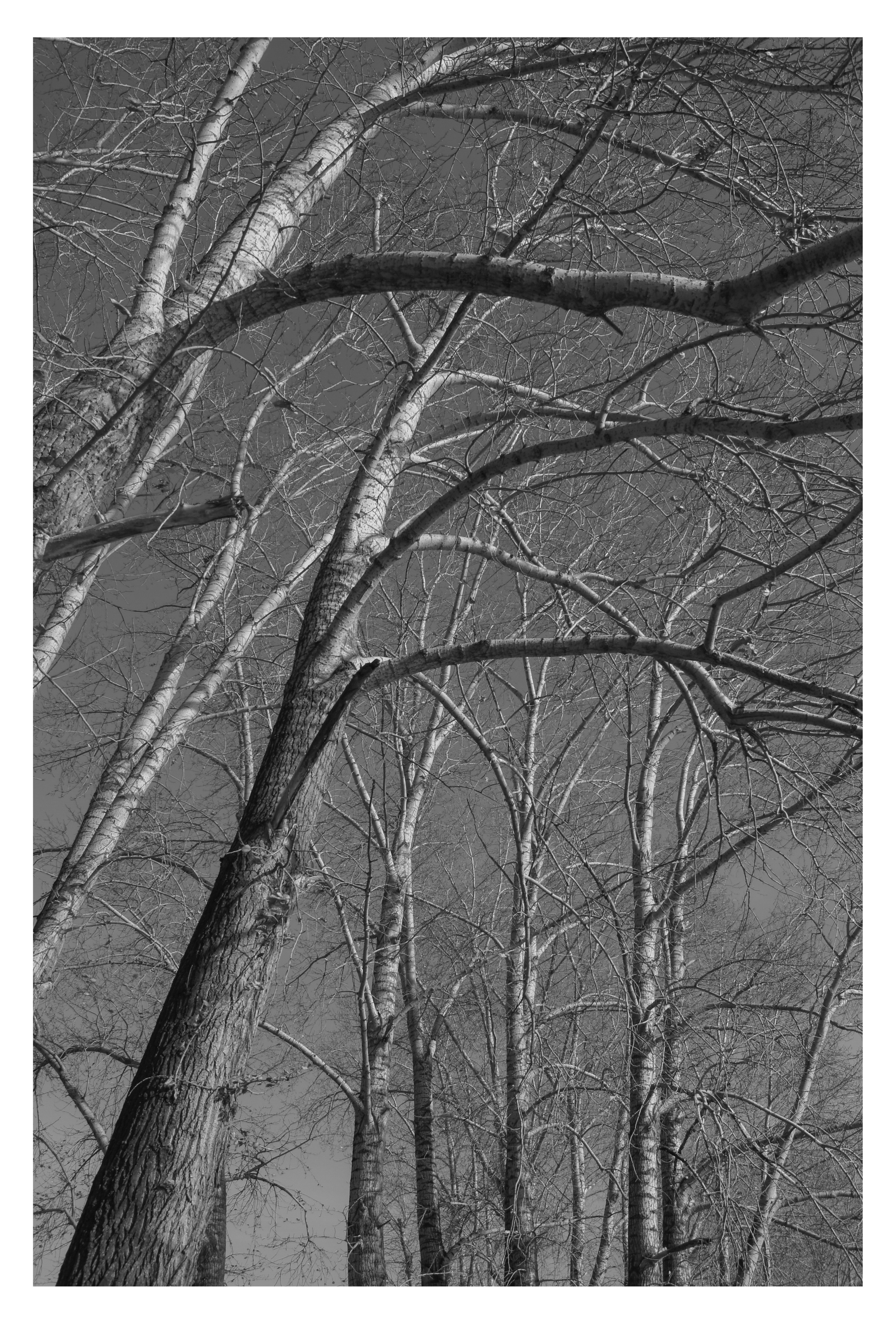 MIASS. Photographer Manakova Olga