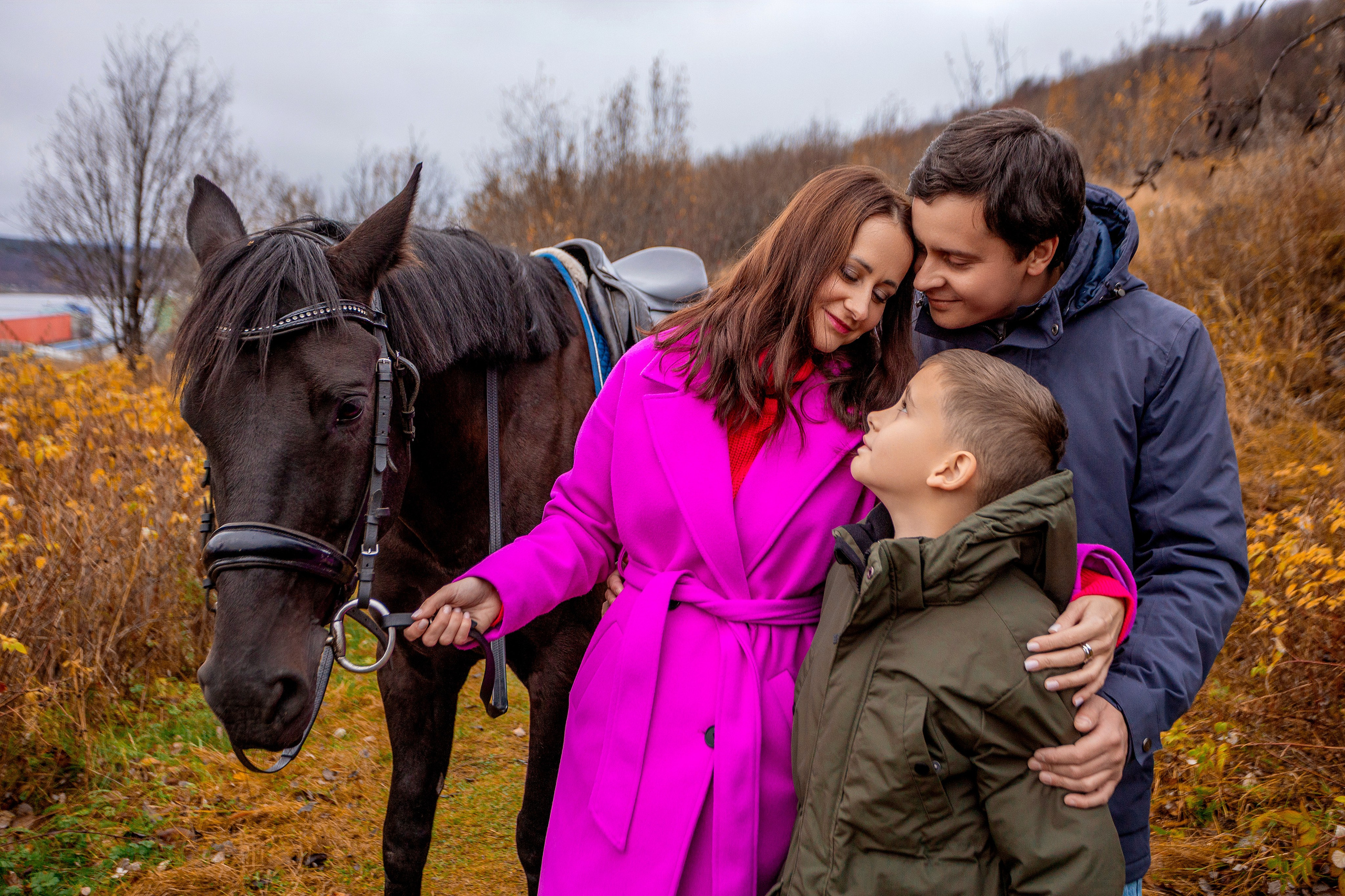 Horses. Фотограф Мурманск Лилия Маер