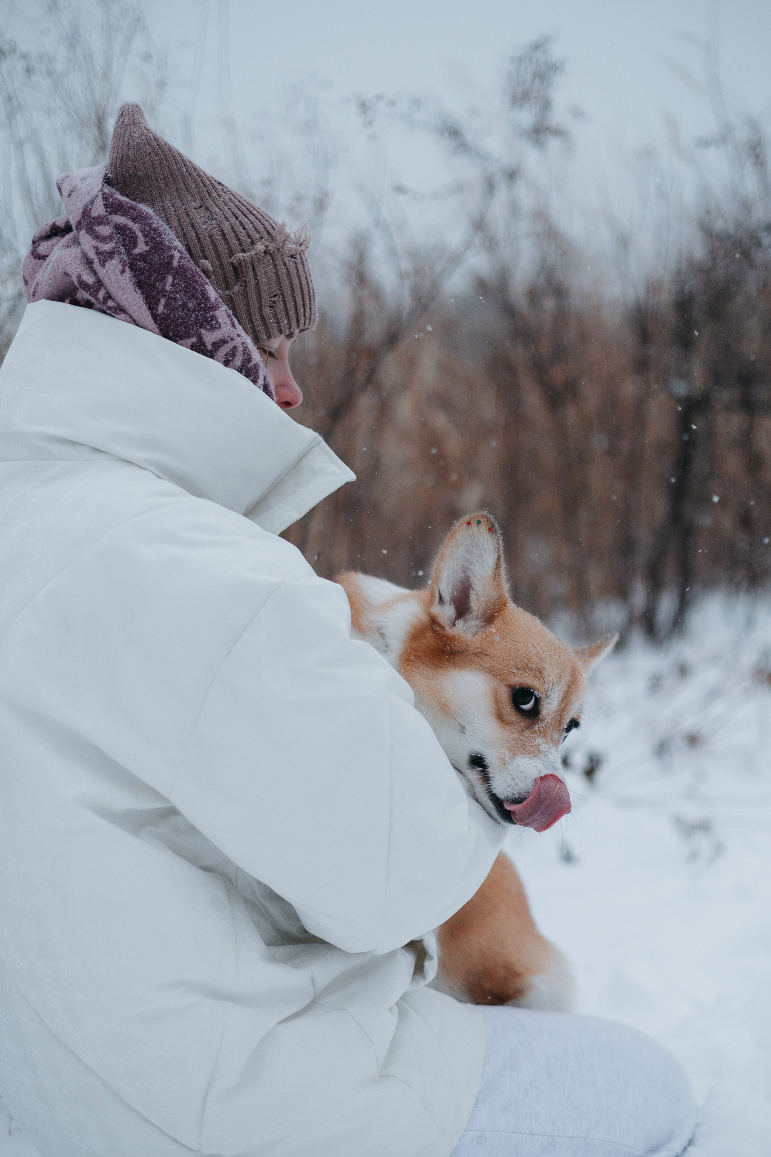 Лена, Лиза и Мия. Фотограф — анималист Владивосток, Алина