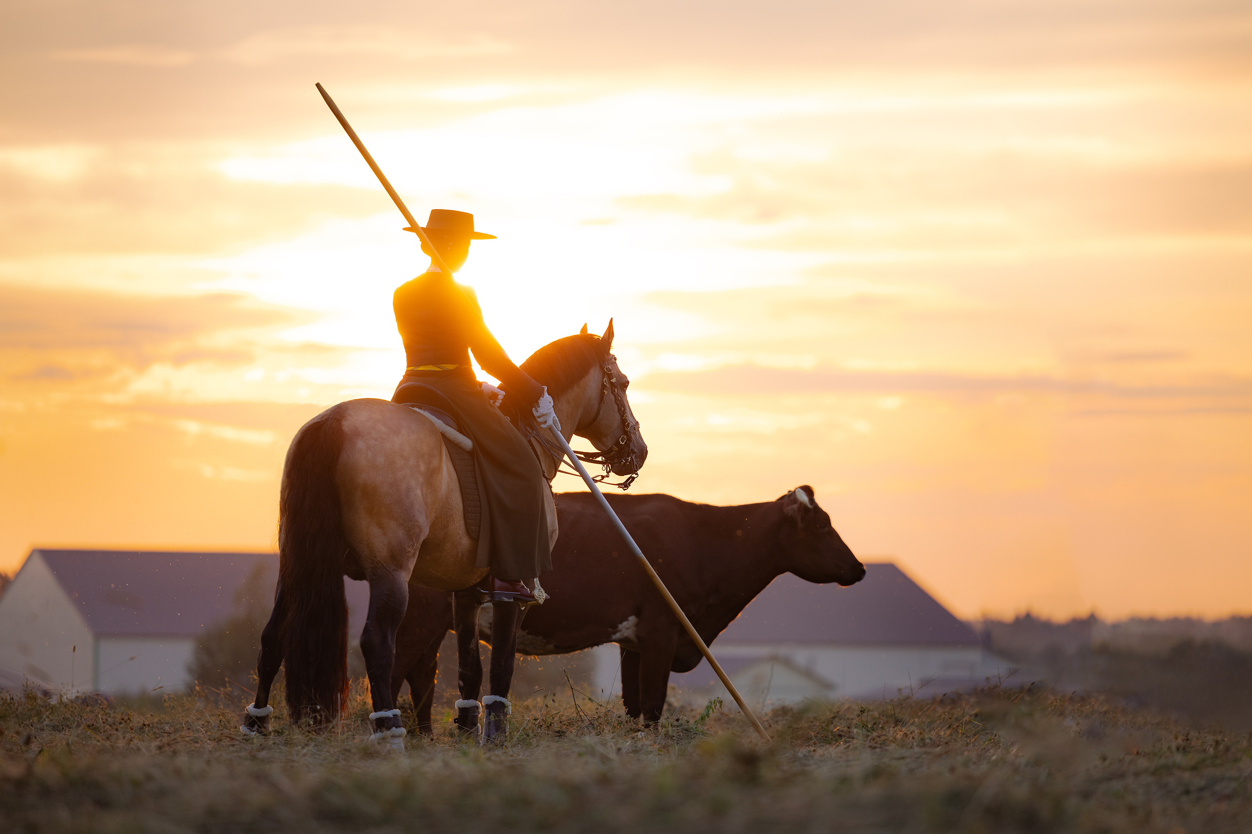 Конные фотосессии. Mrs.Aquarelia Конный фотограф Марианна Леонтьева