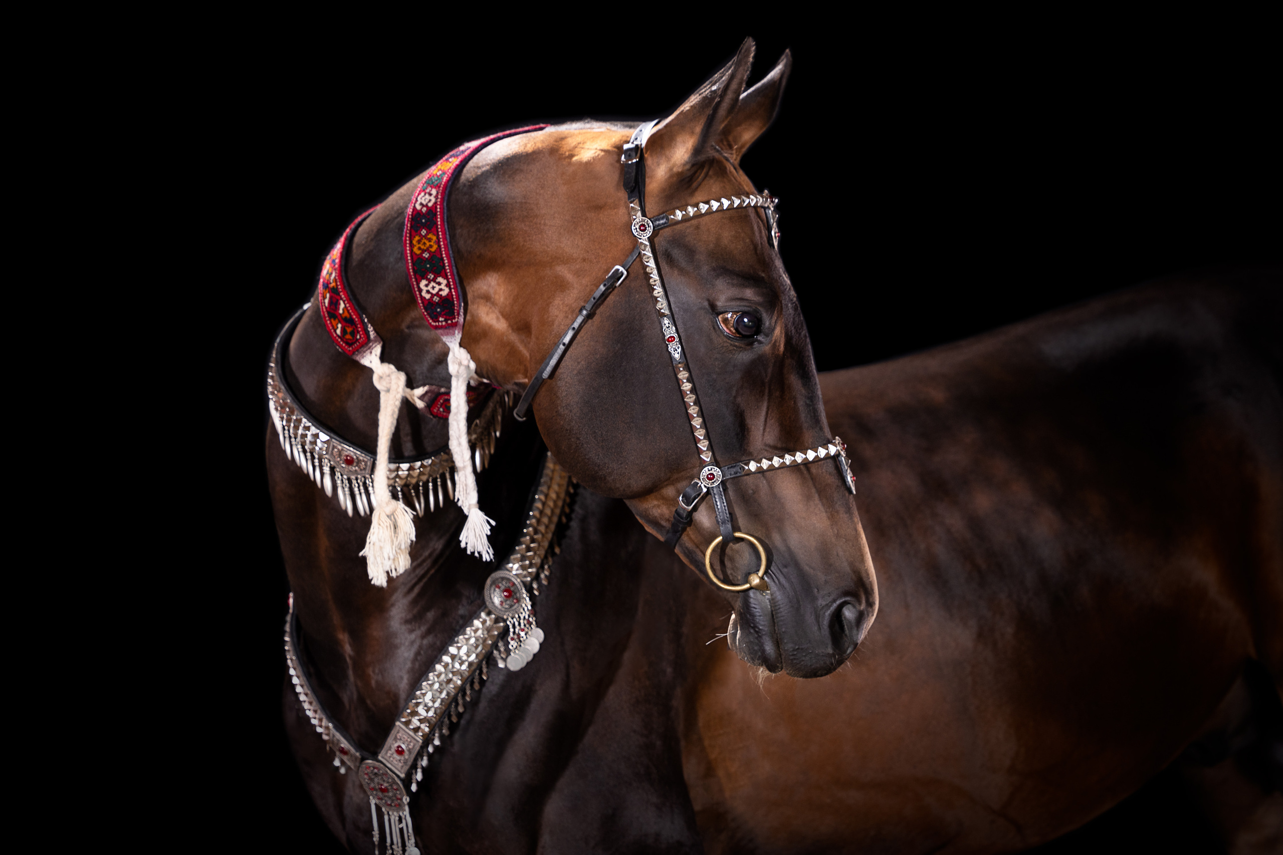 Конные фотосессии с использованием студийного оборудования. Mrs.Aquarelia Конный фотограф Марианна Леонтьева