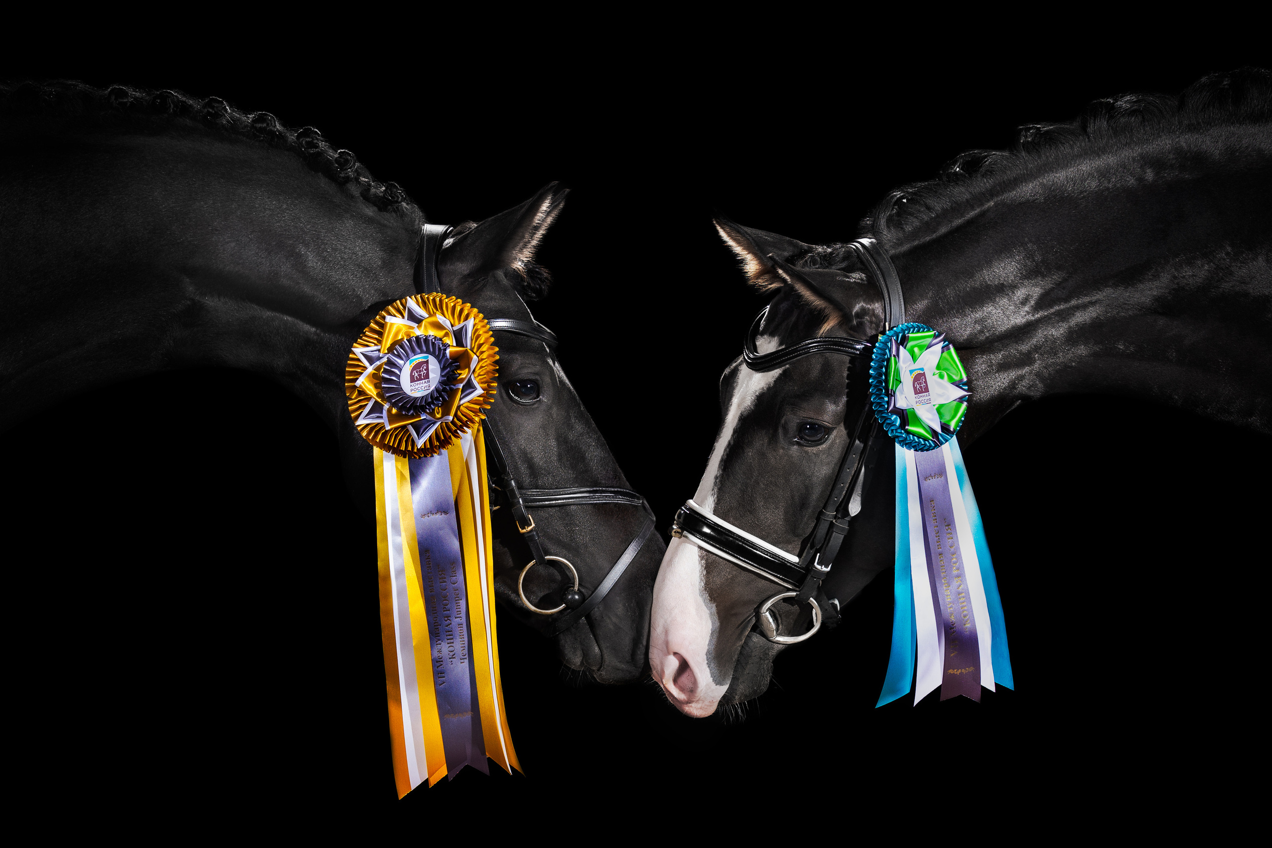 Конные фотосессии с использованием студийного оборудования. Mrs.Aquarelia Конный фотограф Марианна Леонтьева