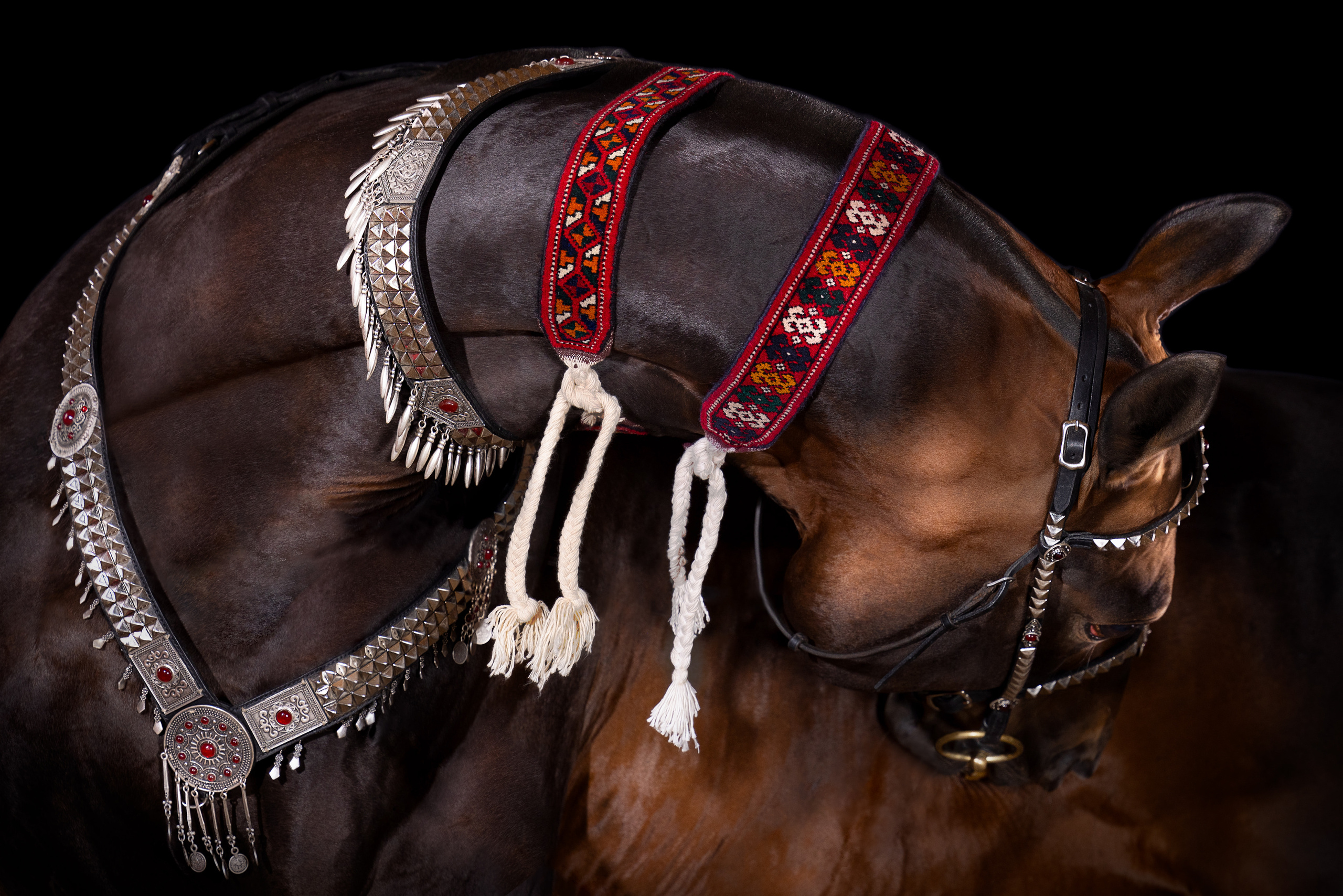 Конные фотосессии с использованием студийного оборудования. Mrs.Aquarelia Конный фотограф Марианна Леонтьева