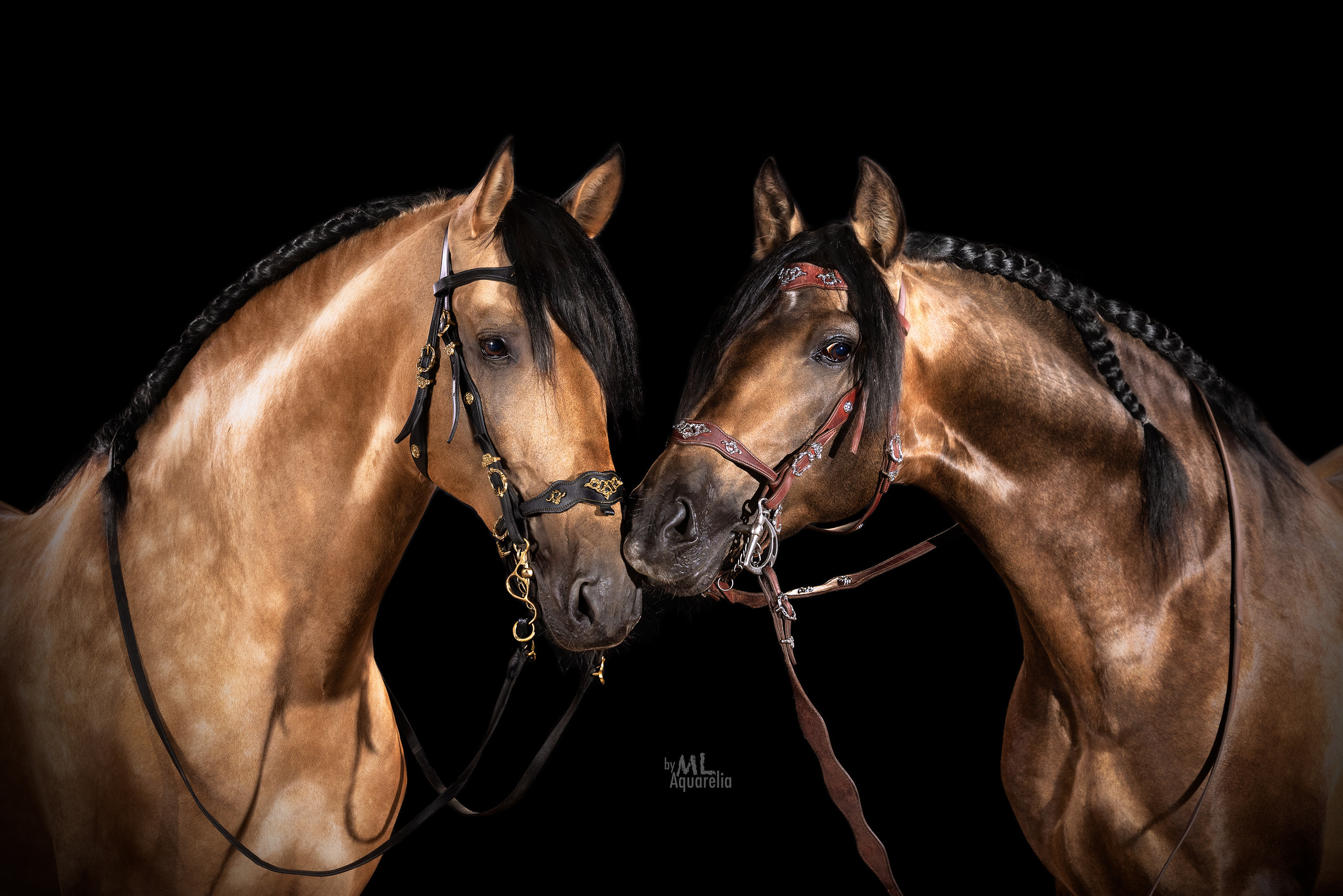 Конные фотосессии с использованием студийного оборудования. Mrs.Aquarelia Конный фотограф Марианна Леонтьева