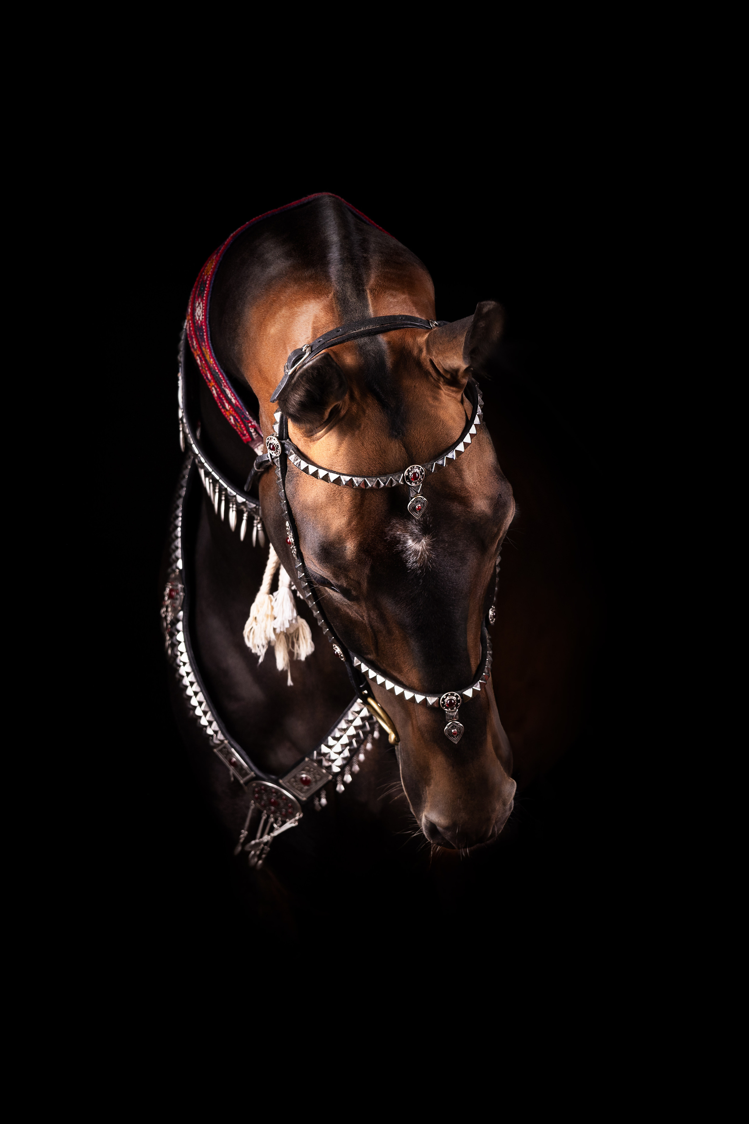 Конные фотосессии с использованием студийного оборудования. Mrs.Aquarelia Конный фотограф Марианна Леонтьева