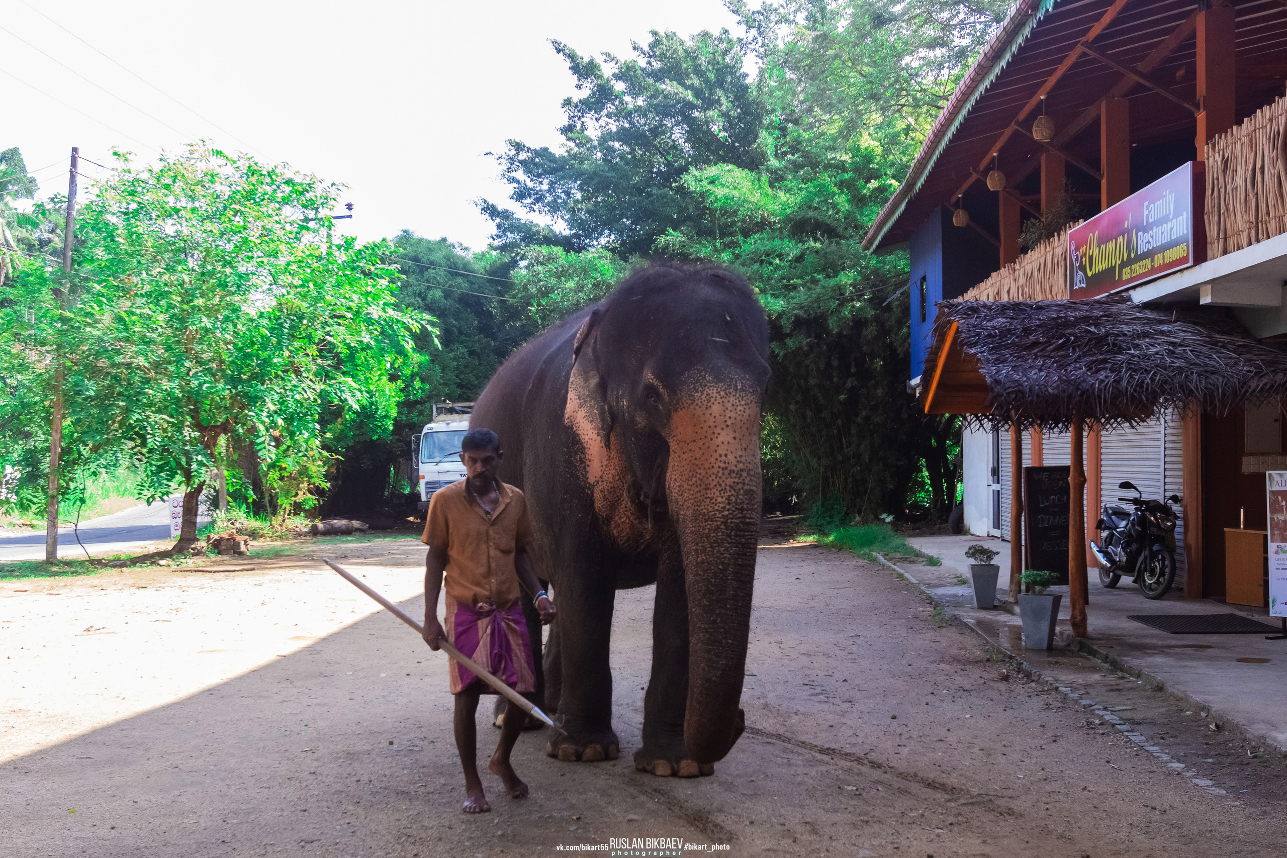 ШРИ-ЛАНКА 2025 / SRI LANKA 2025. Главная