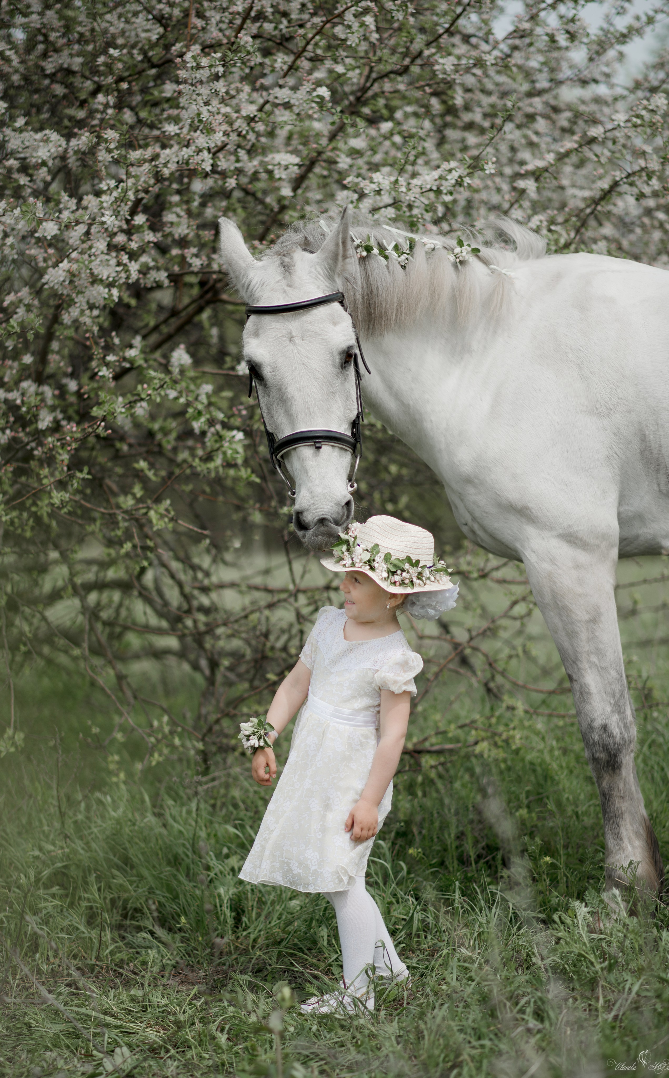 Мирослава и Гипноз. Конный фотограф в Саратове Юлия Иванова