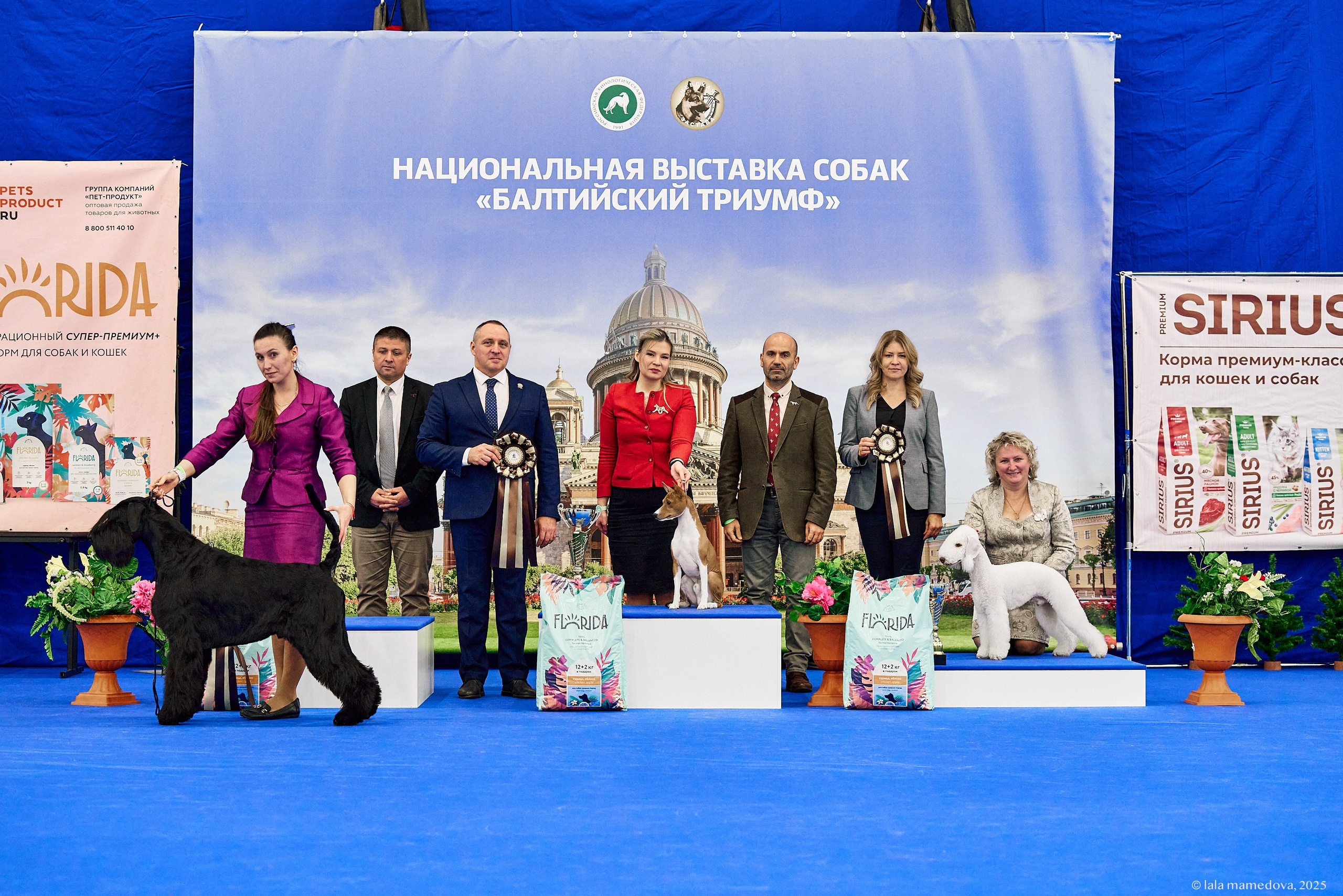 22-23 FEB 2025 | NATIONAL DOG SHOW «BALTIC TRIUMPH-2025»