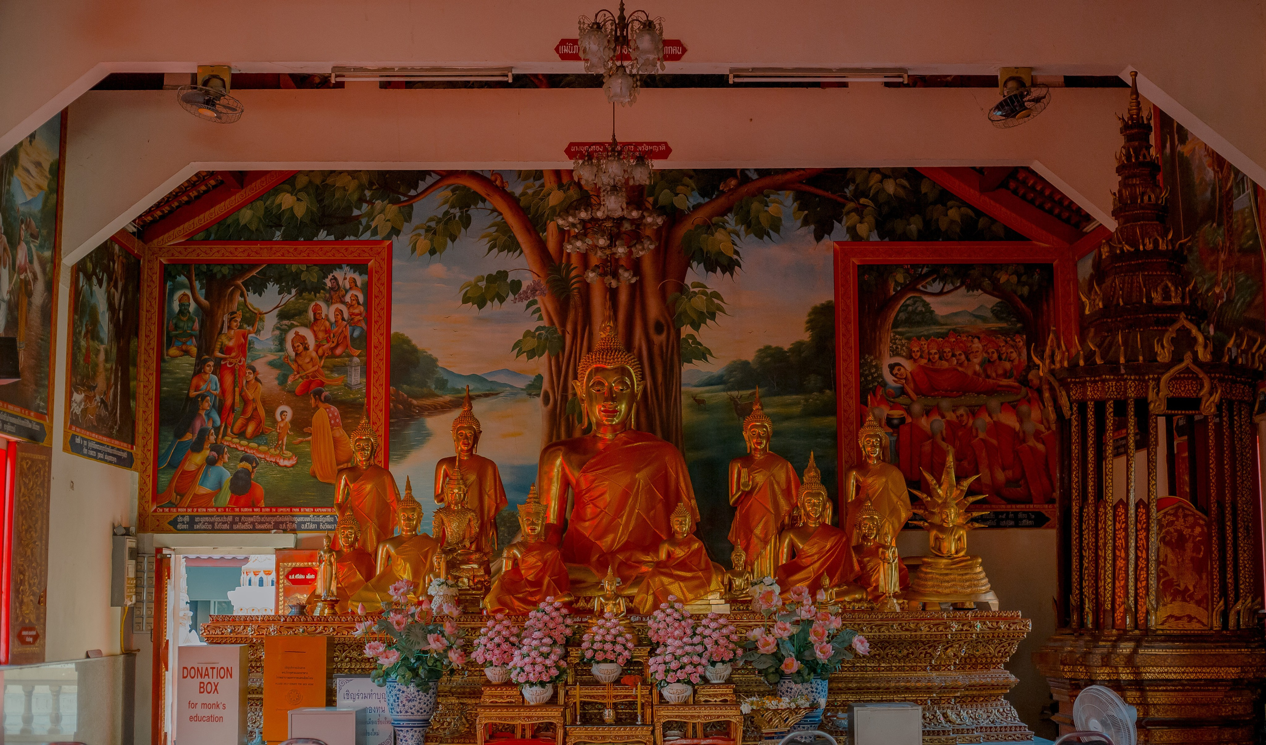 Thailand, Chiang Mai. Art Photographer