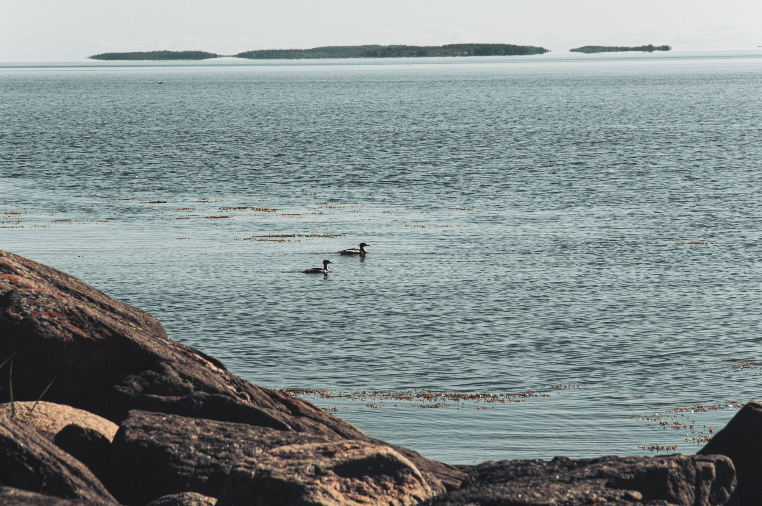Фотографии с Белого моря. Авторские походы по Белому морю