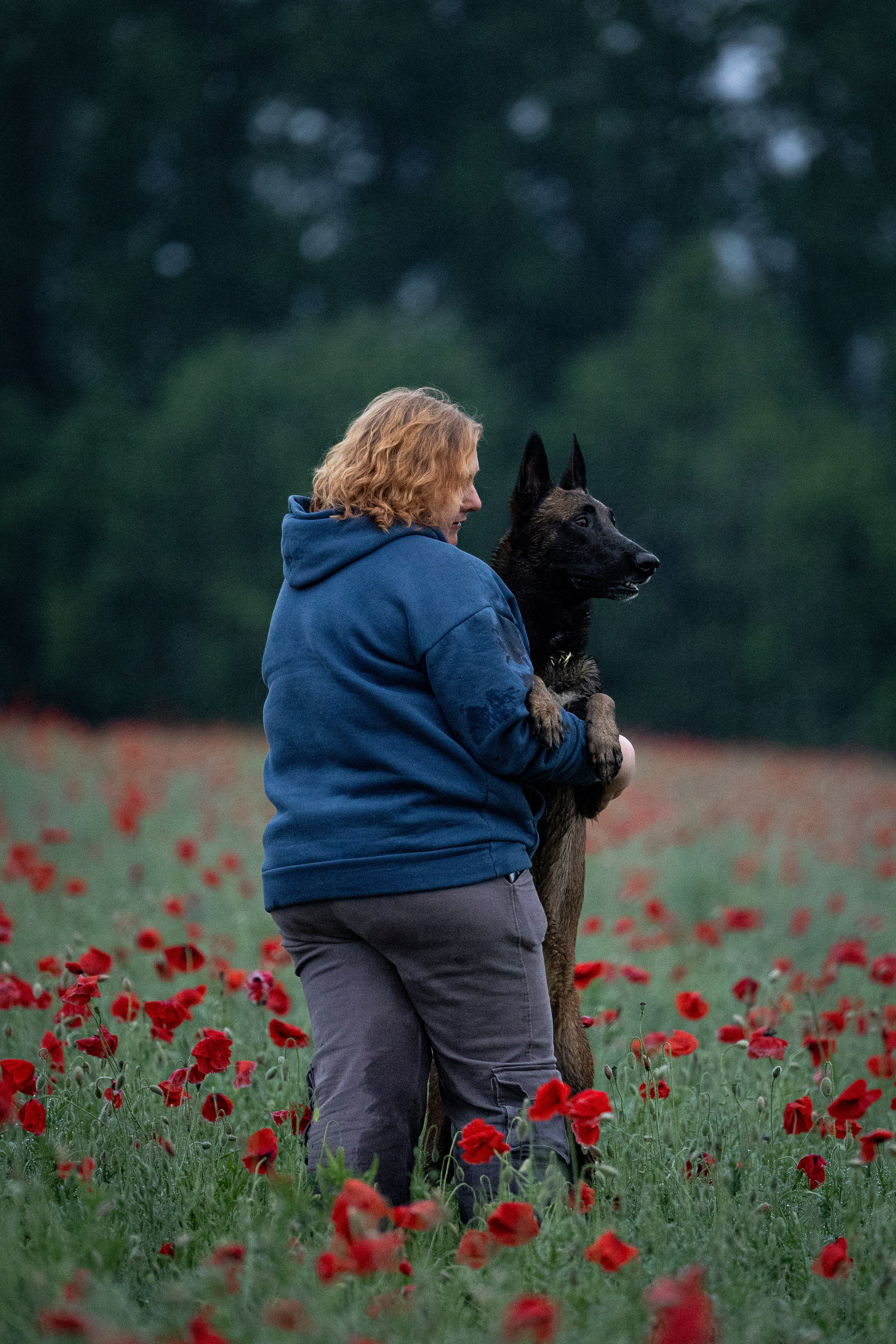 Маковое поле. Фотограф-анималист Анна Маринич