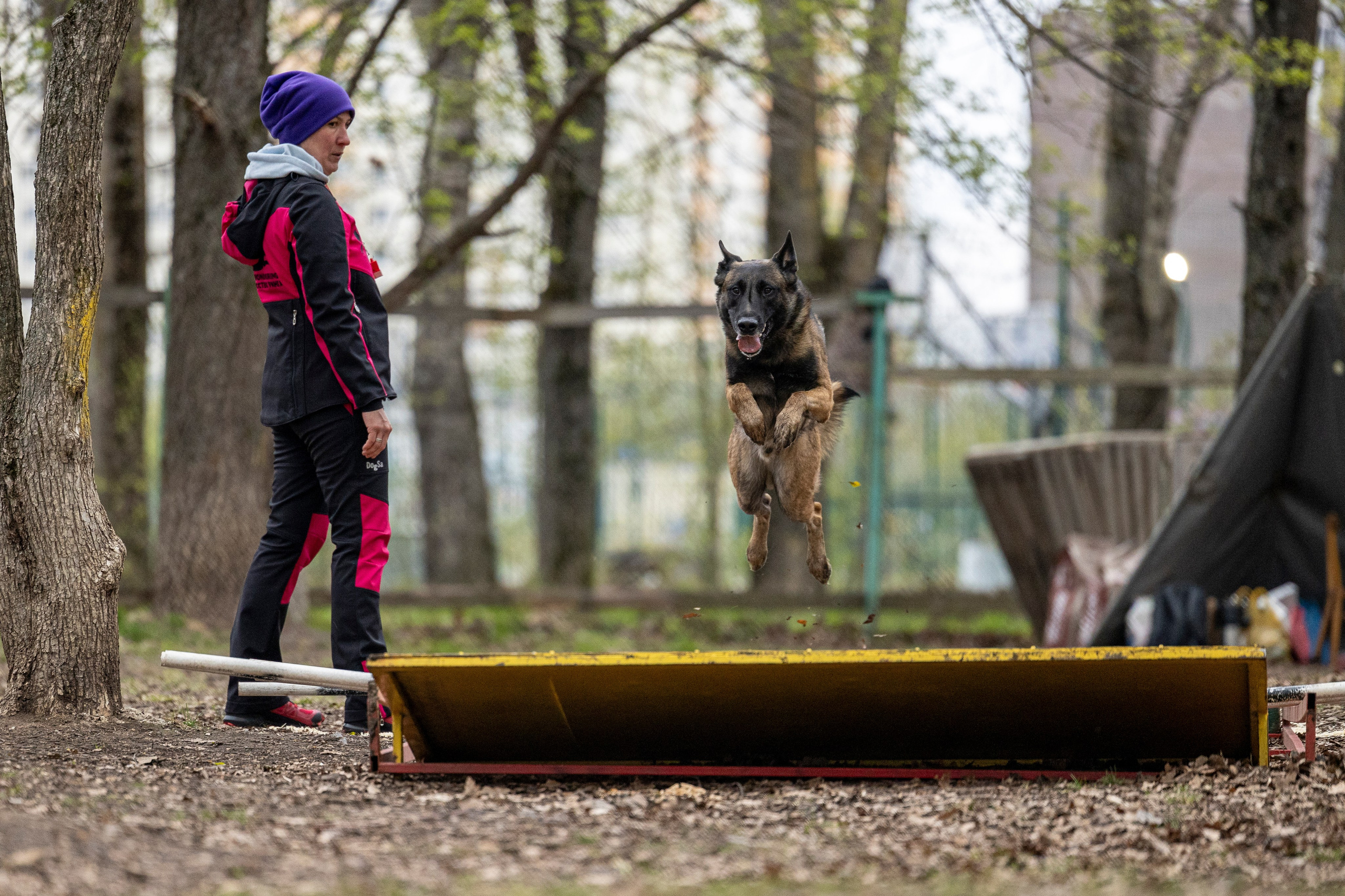 Квалификационные состязания по мондьорингу г. Вологда 11.05.24. Фотограф-анималист Анна Маринич