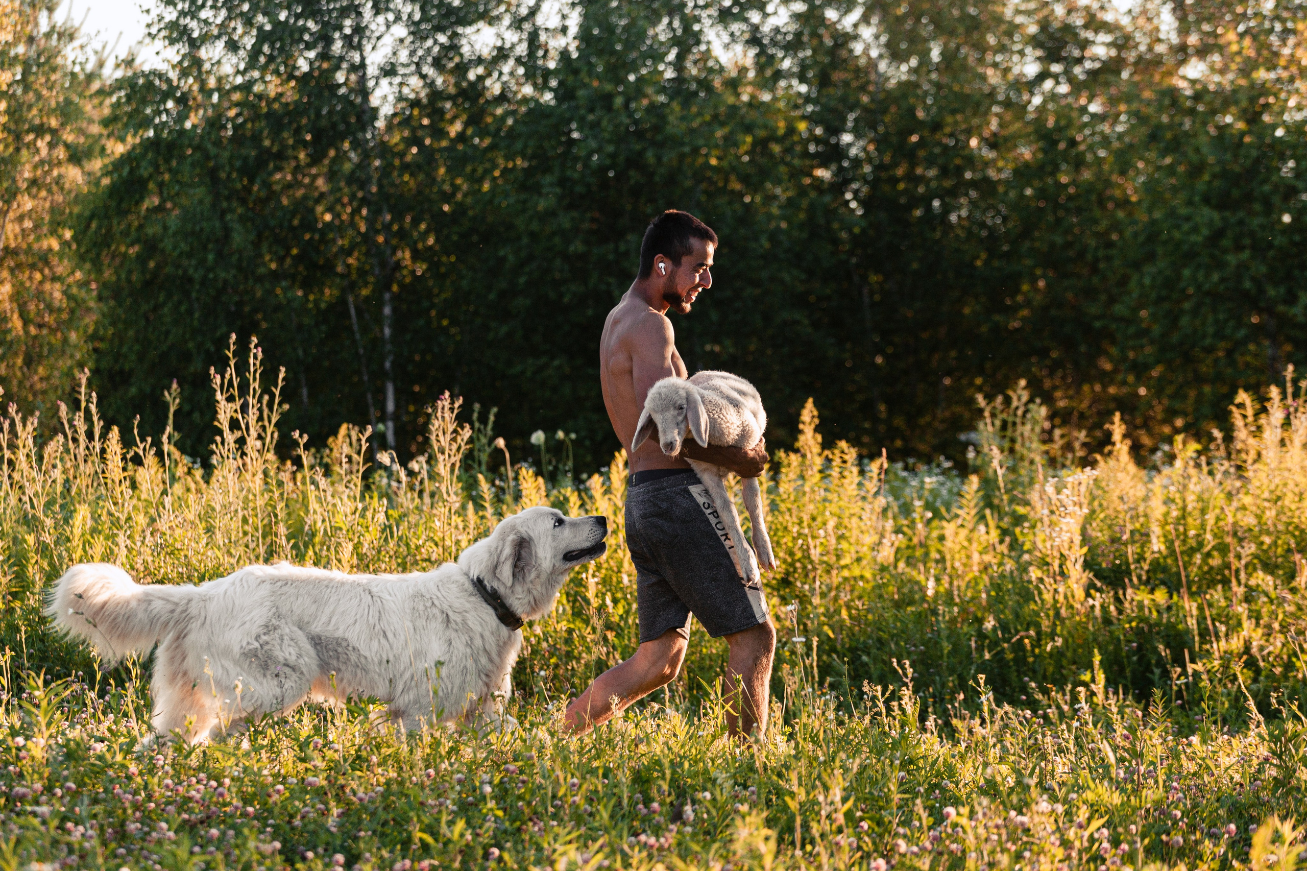 Ванна в поле. Фотограф-анималист Татьяна Степанова