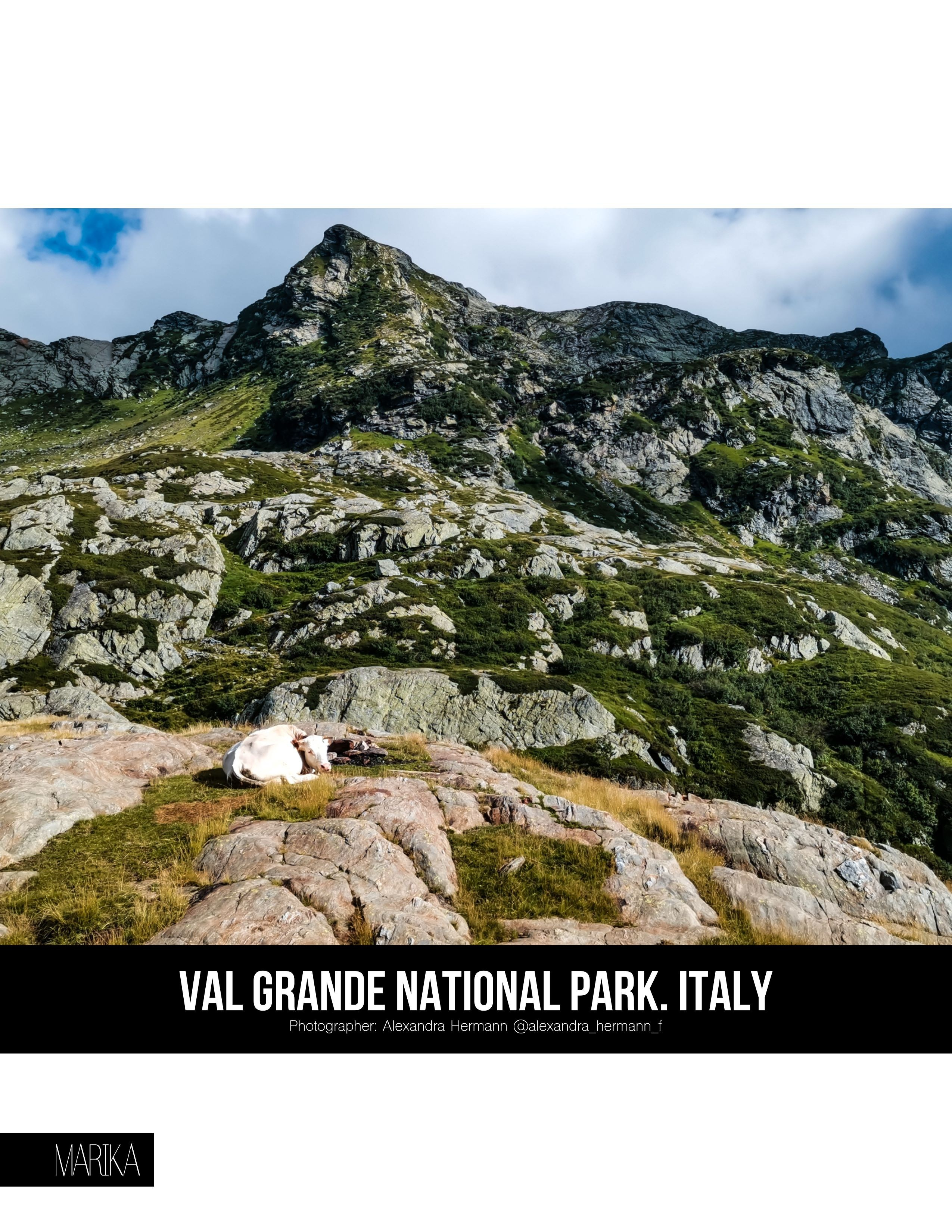 Публикации. Репортажный фотограф в Берлине Александра Герман