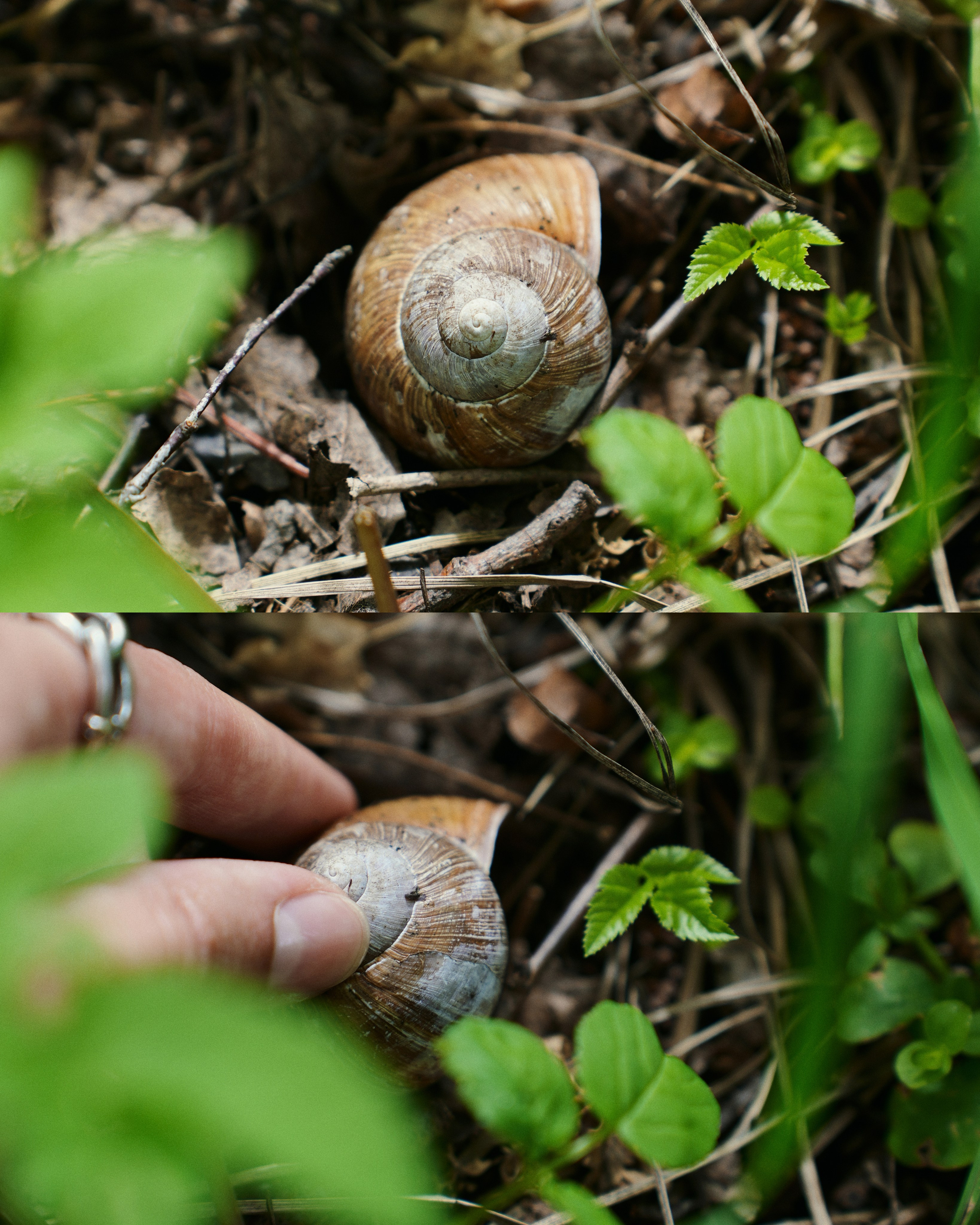 PODMOKLOVO. ANNA — PHOTOGRAPHER