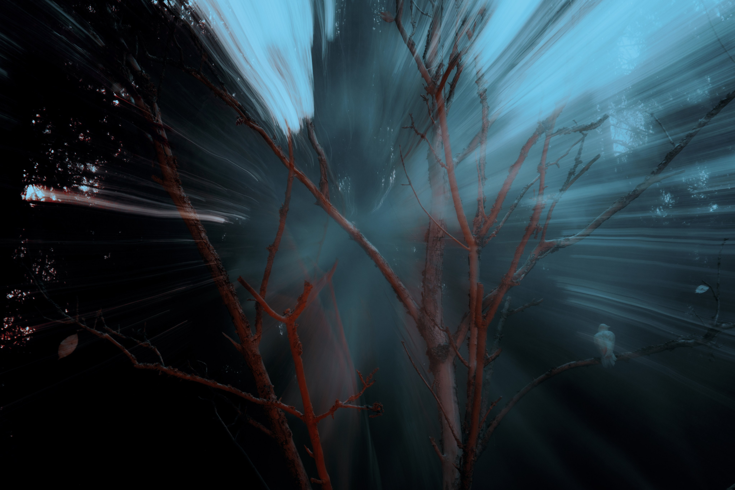 Outline 2024. @tomrus: Рустам Шагиморданов — фотограф