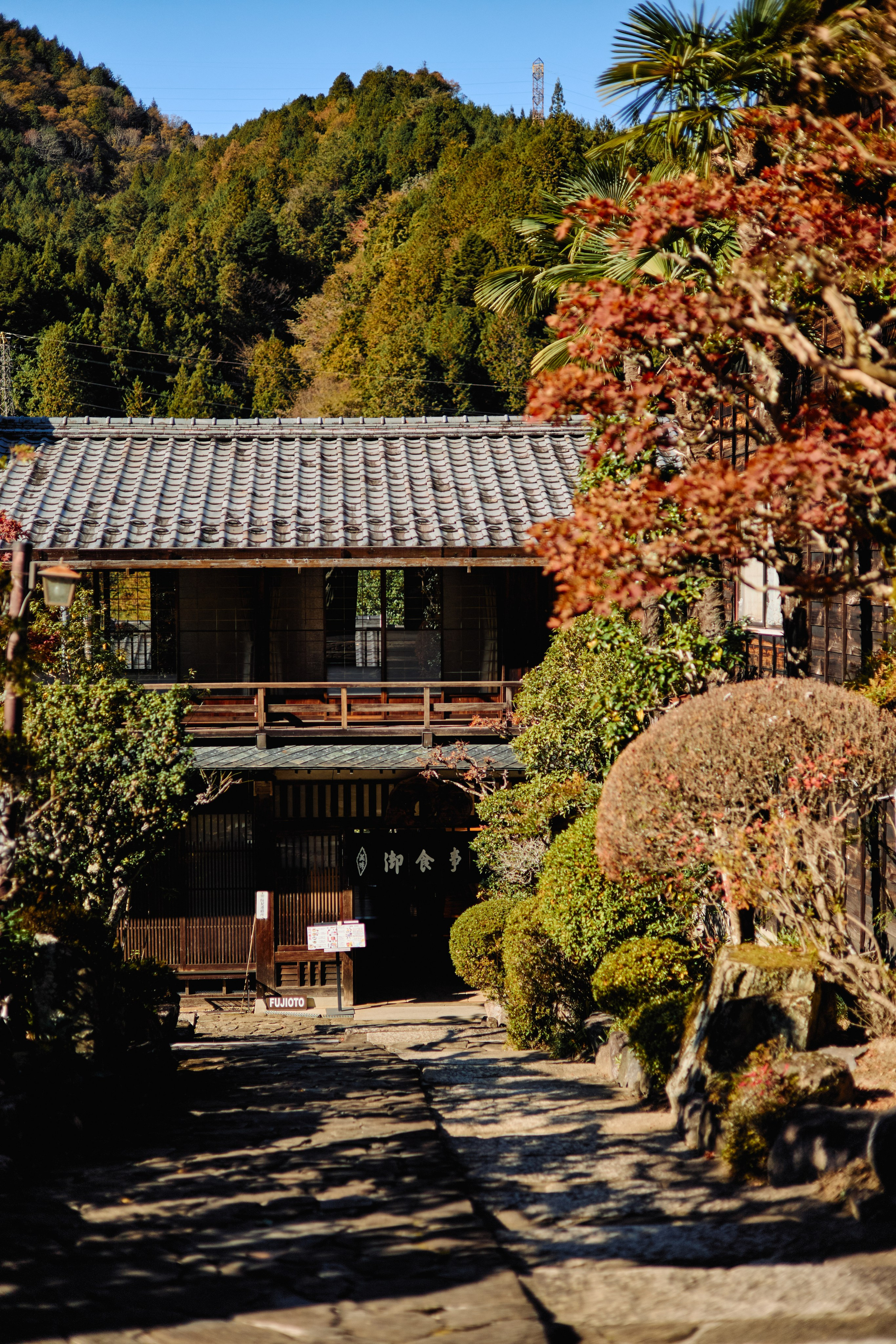 Япония. Профессиональный Фотограф во Владимире, в Москве и в Суздале — Полина Романычева