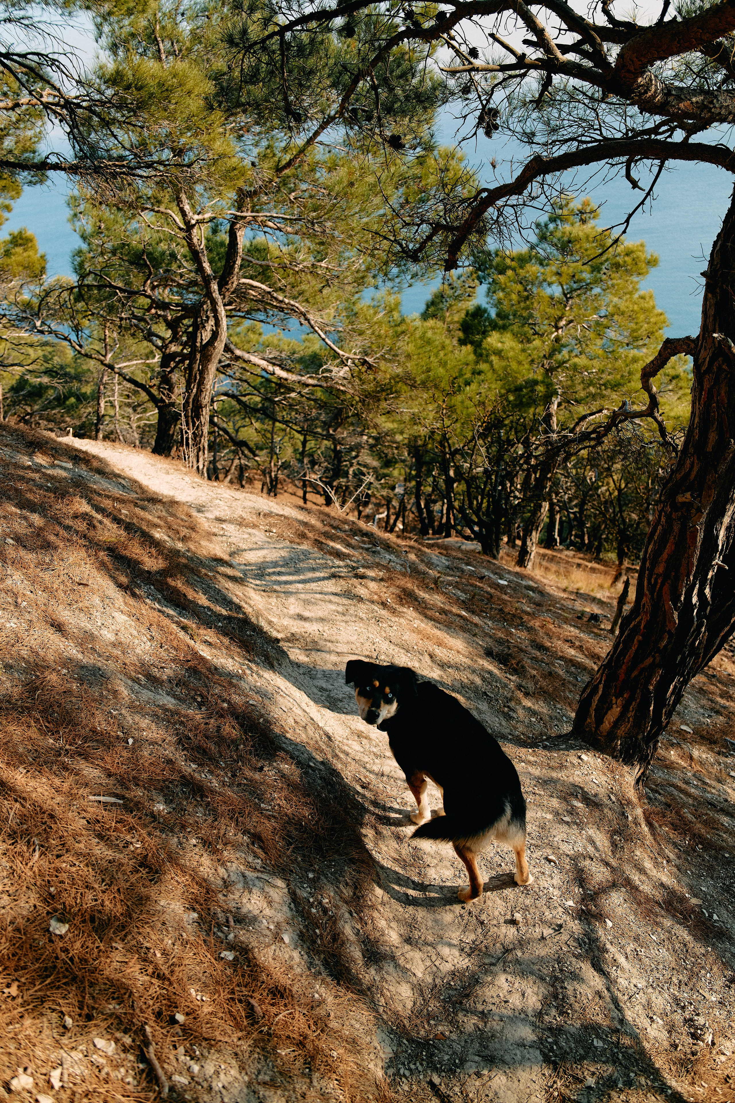 Юг России. Профессиональный Фотограф во Владимире, в Москве и в Суздале — Полина Романычева