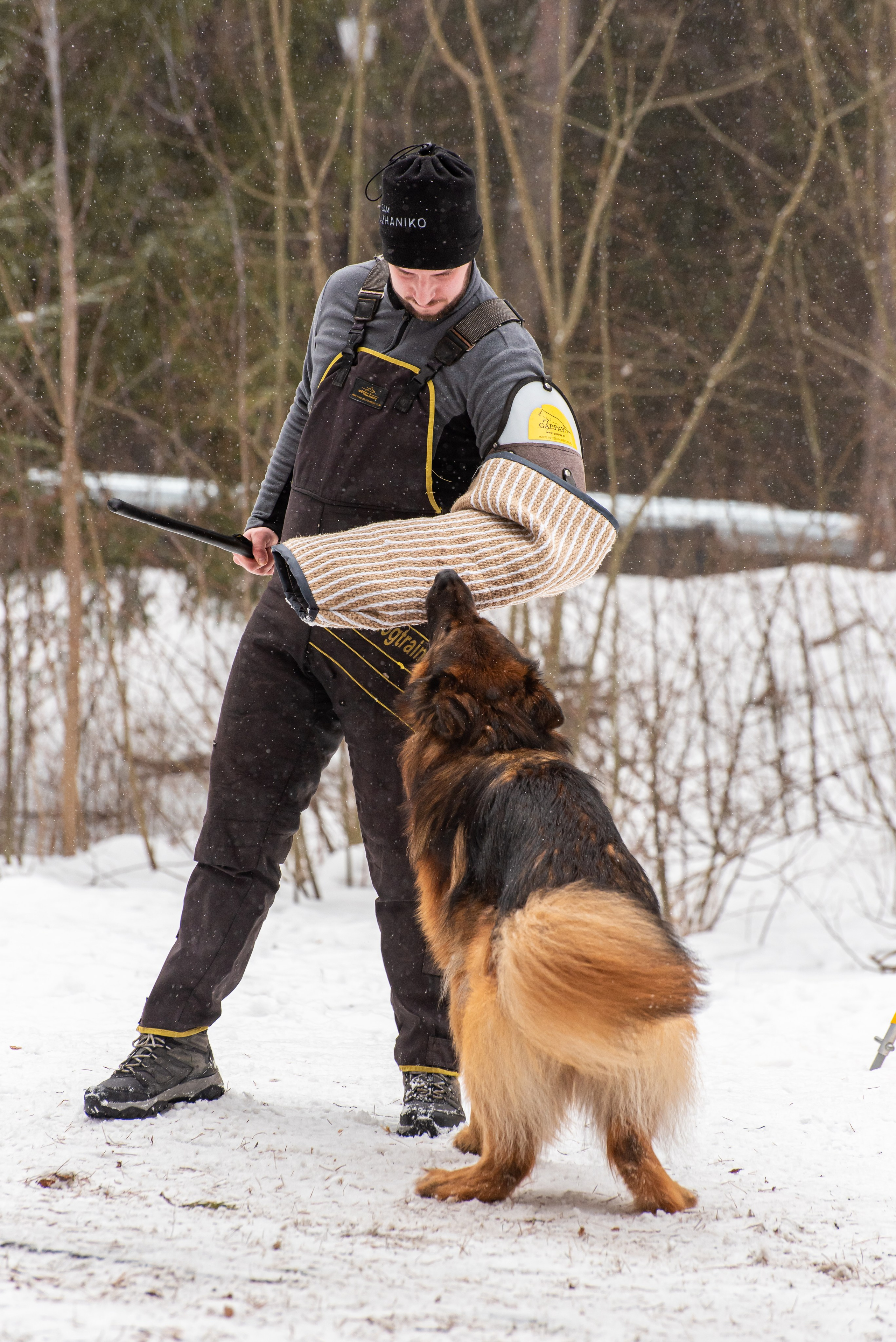 Фотосъёмка с собаками в Кинологическом лагере. Фотограф Макс Огурцов в Нижнем Новгороде
