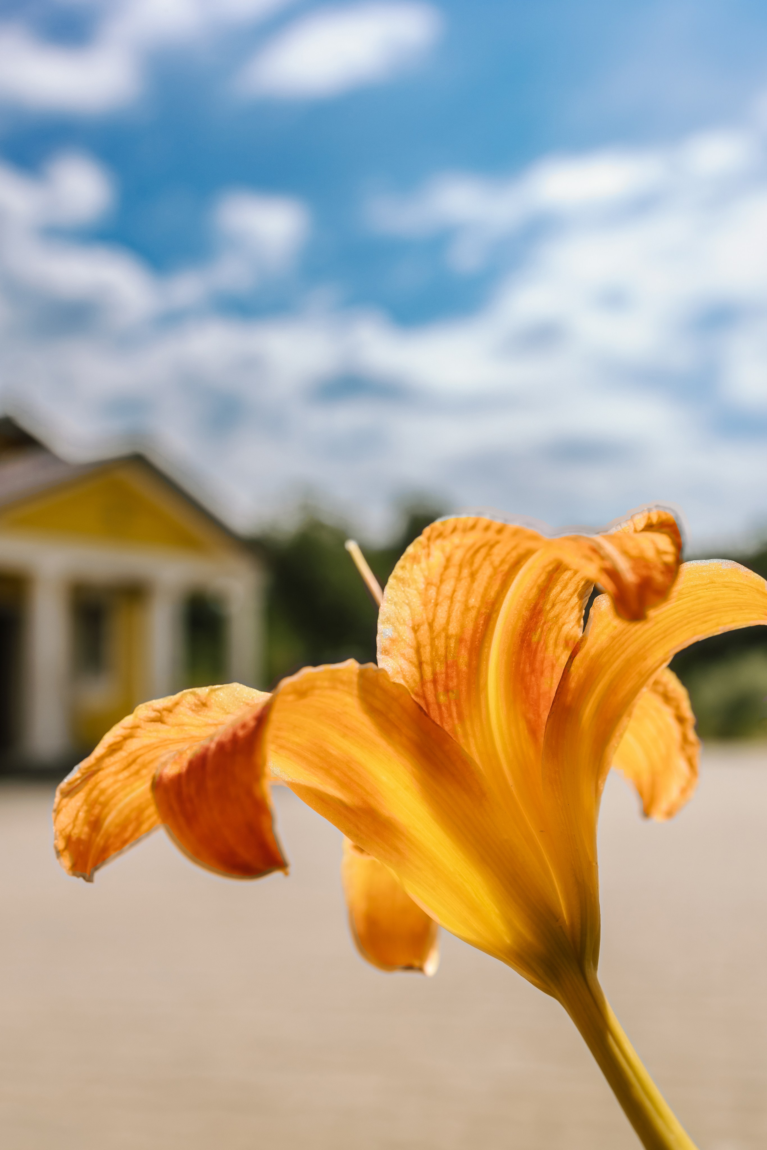 Фотограф на крещение в церкви Московский. Фото и видео Москва, Московский. Свадебный фотограф, видеограф, фотосессии, видеосъемка