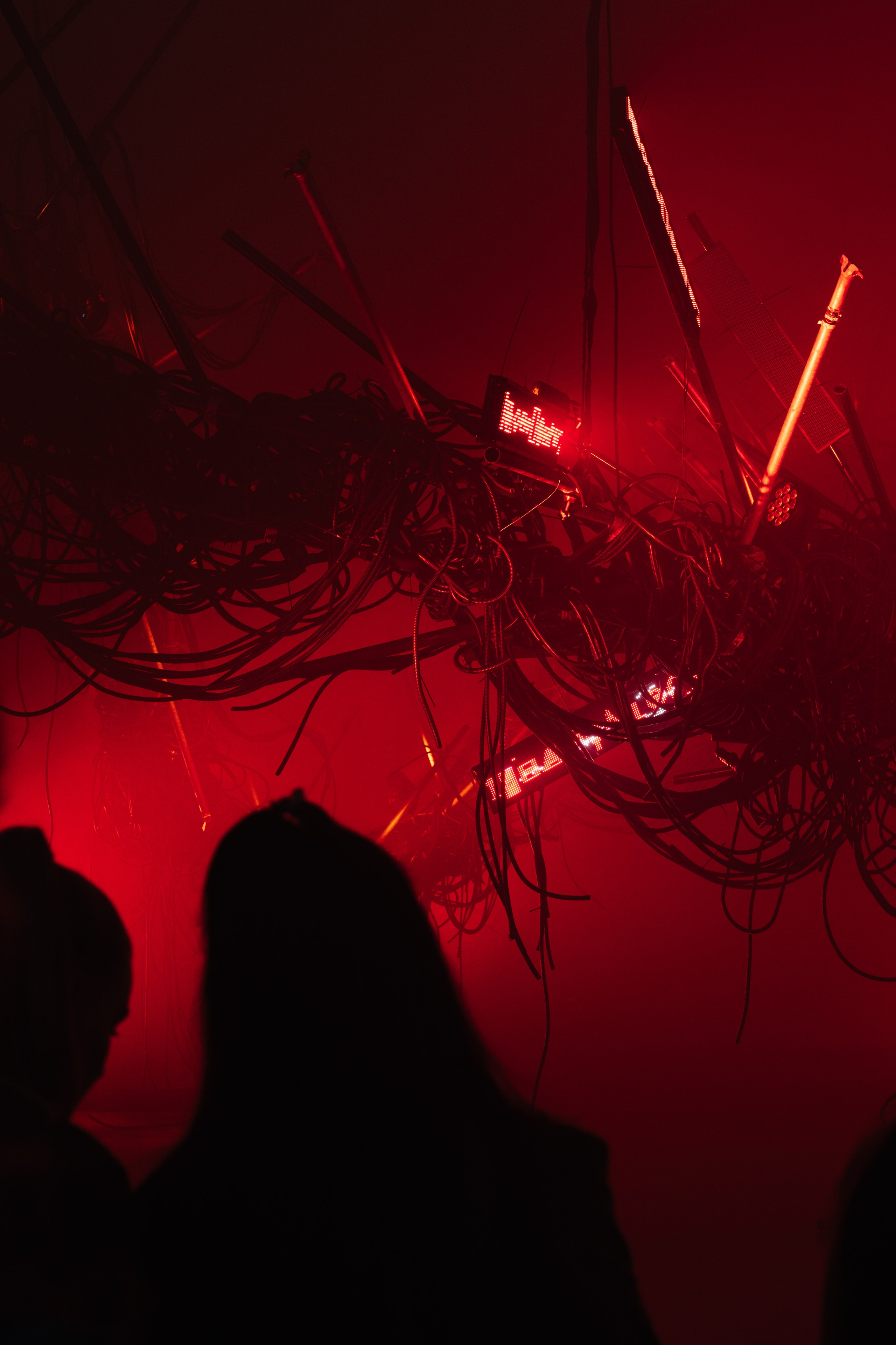 PERFORMA, The Hour of the Horse. @tomrus: Рустам Шагиморданов — фотограф