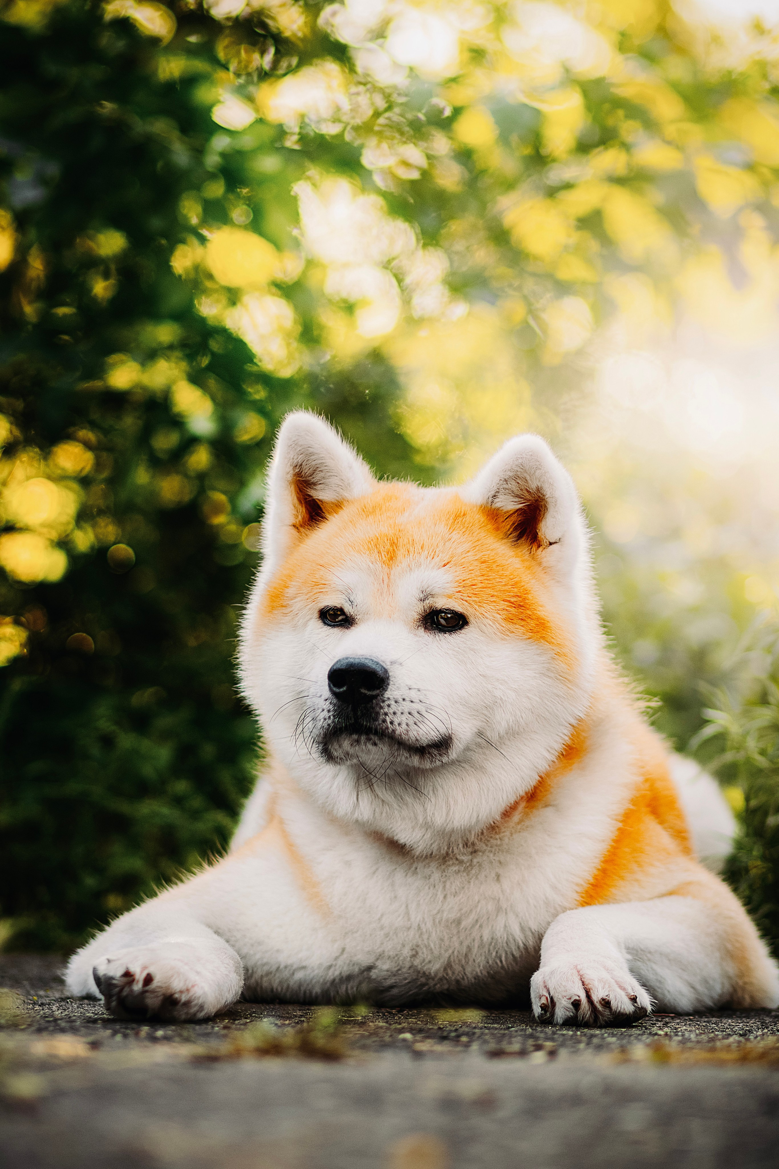 Вальтер. Фотограф в Арсеньеве