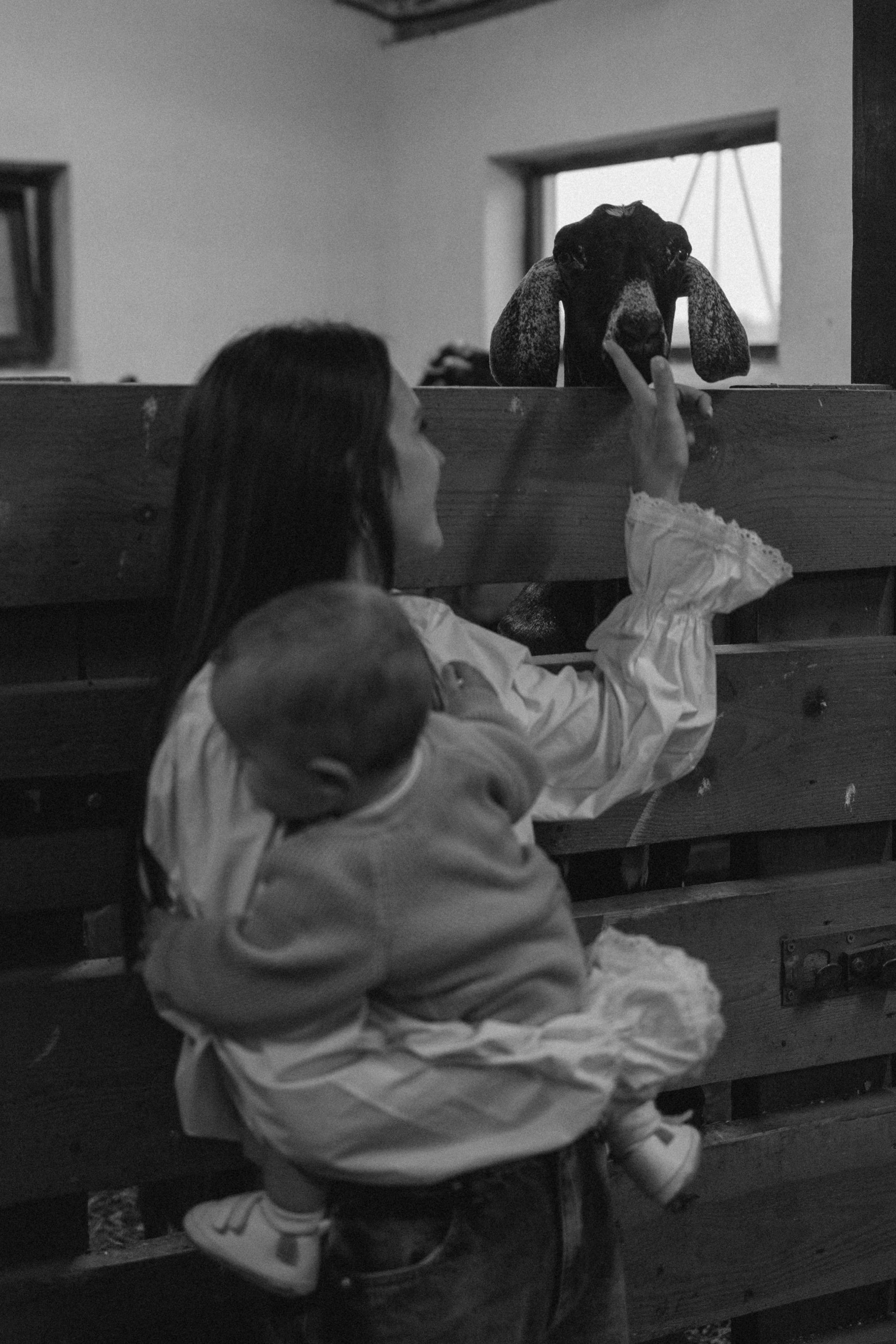 Семейная. Фотораф — анималист Мария Шистка