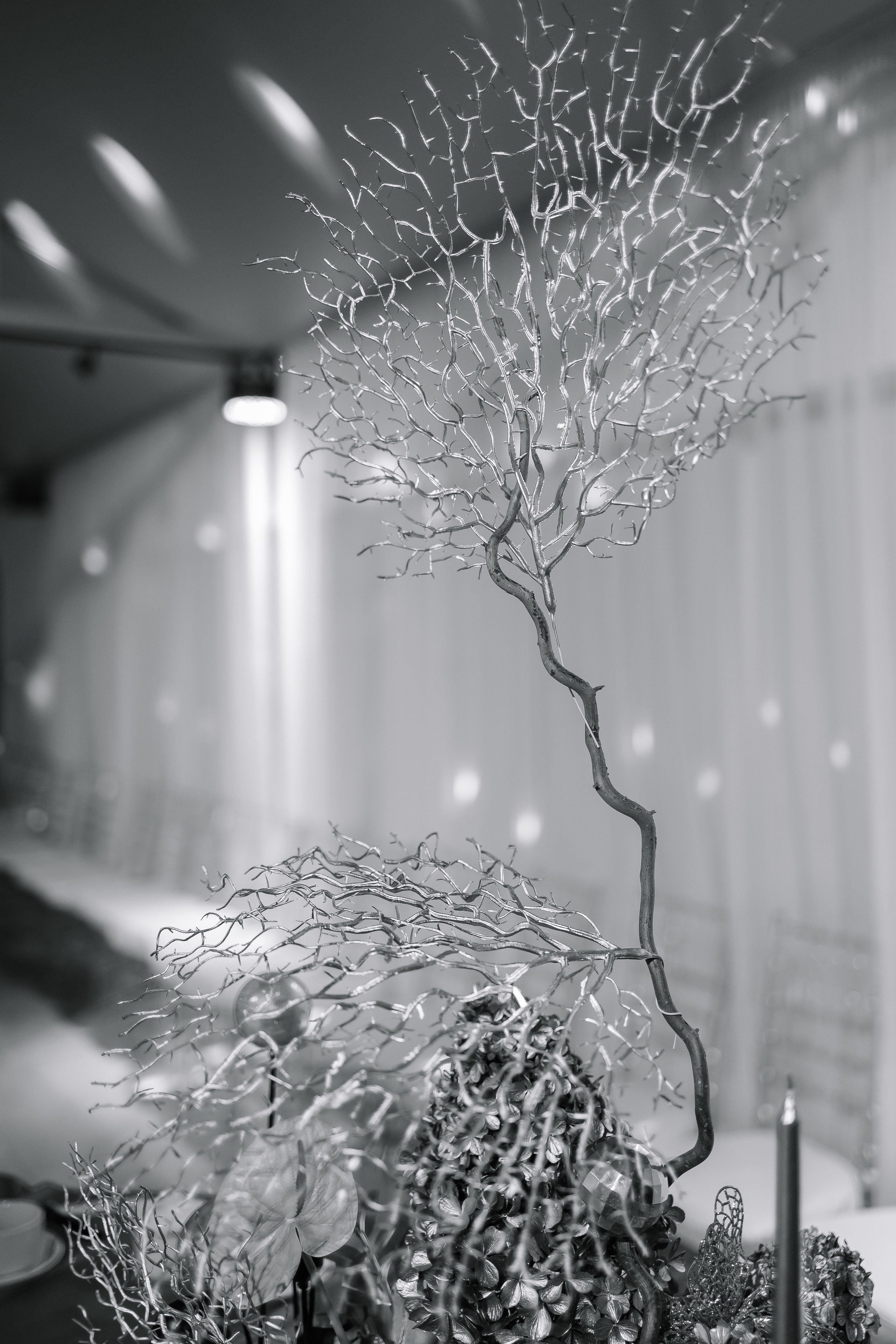 Шоу тортов. Свадебный фотограф