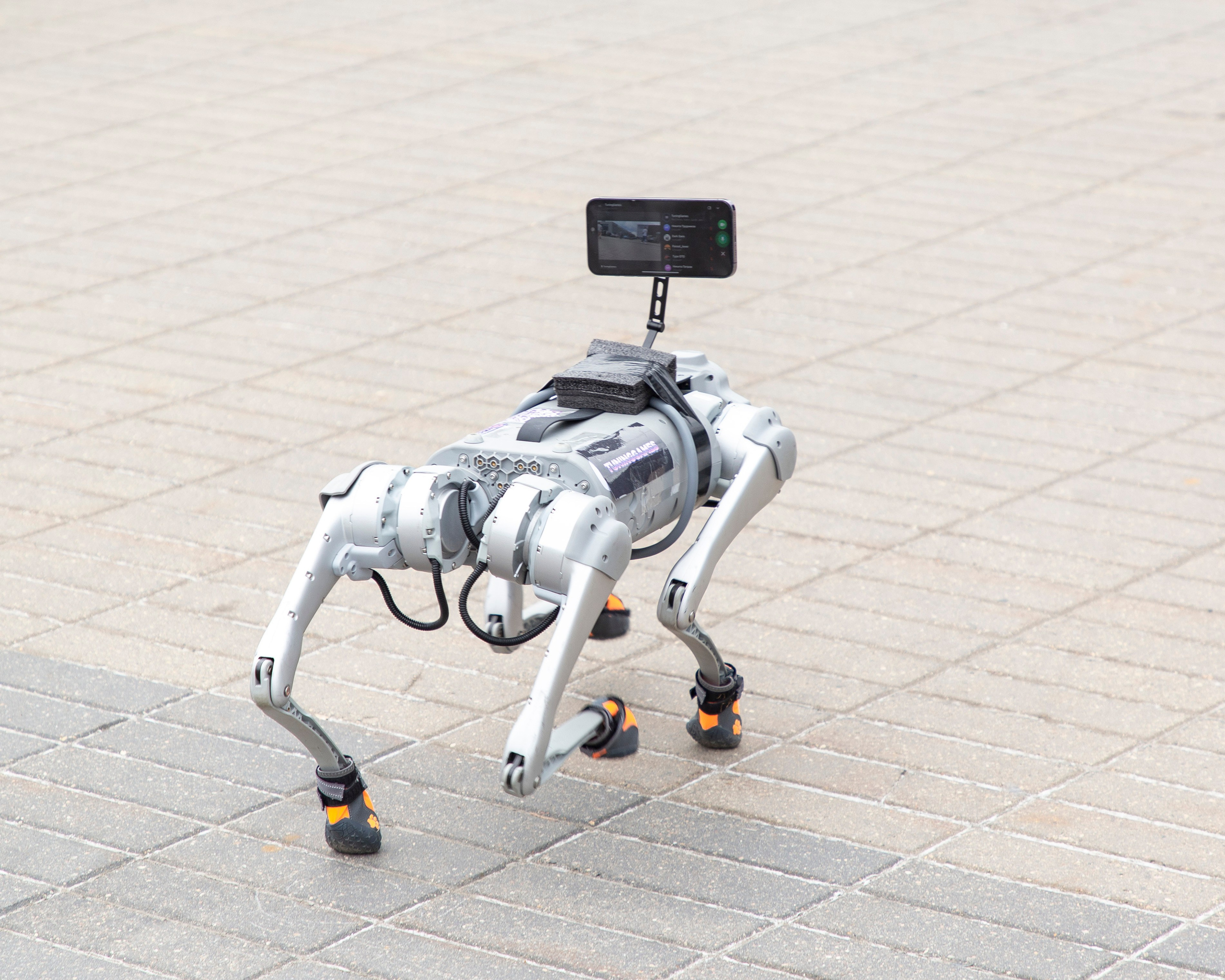 Tuning Show 2025. Репортажный фотограф в Москве