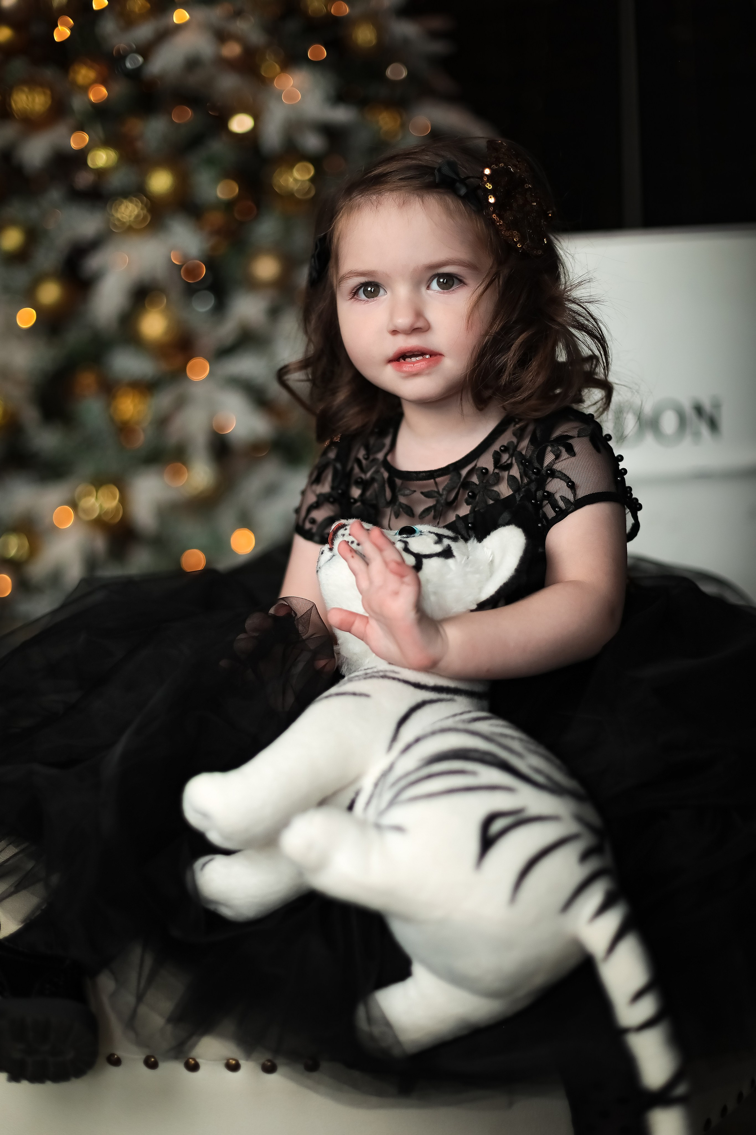 НОВОГОДНИЕ ФОТОСЕССИИ. Фотограф г. Хабаровск. Семейные и индивидуальные съёмки