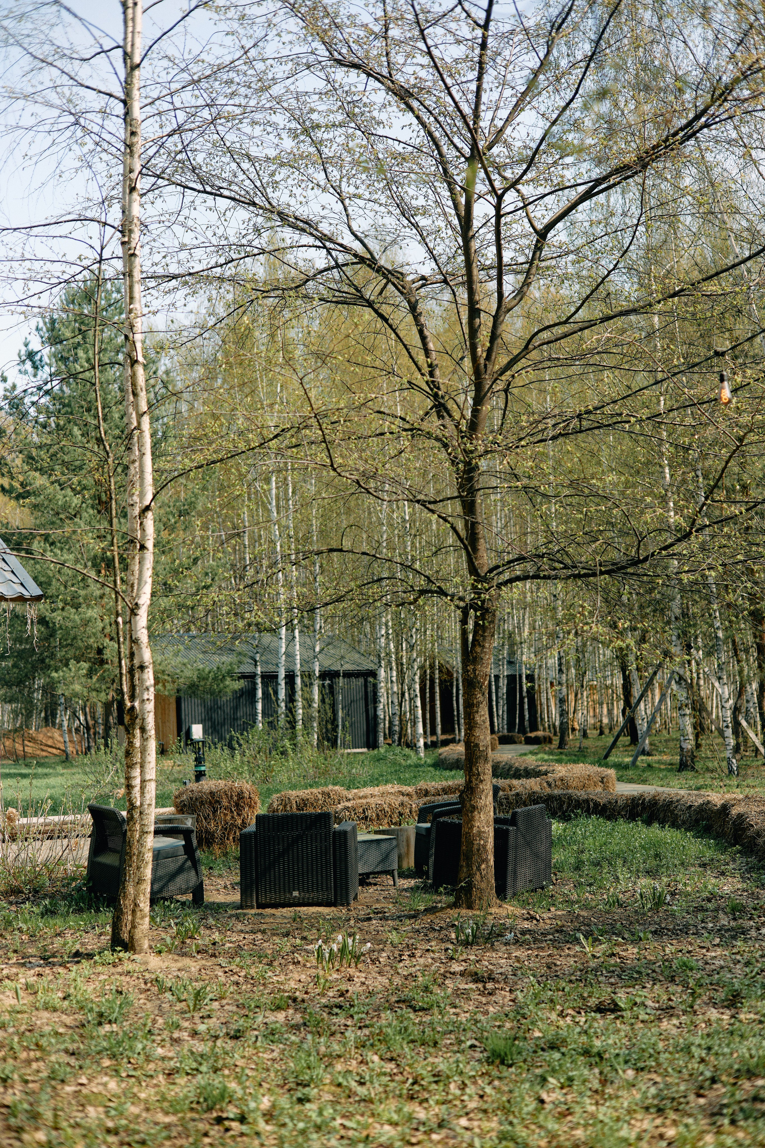 Бутик-отель Поле летом. Профессиональный Фотограф во Владимире, в Москве и в Суздале — Полина Романычева