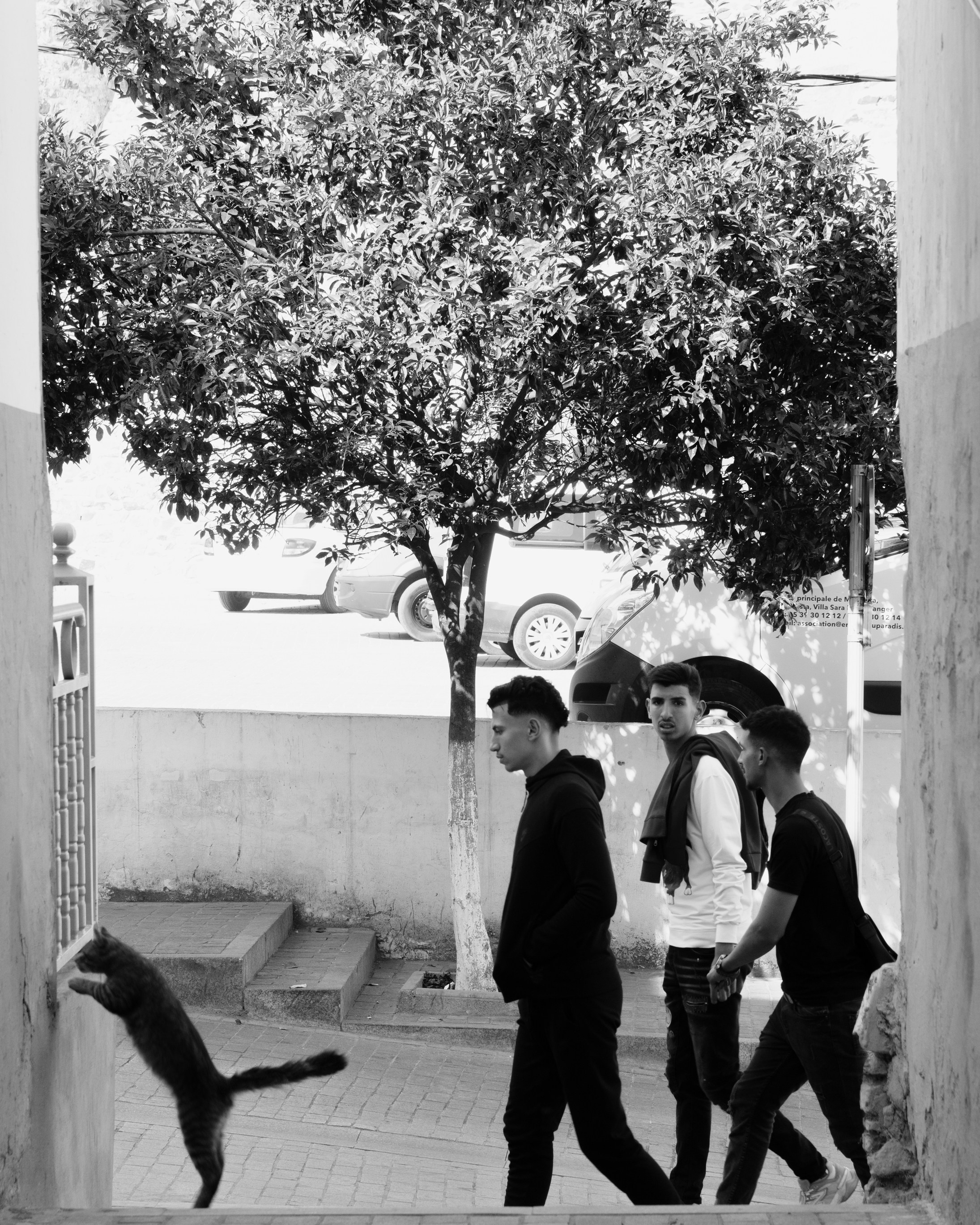 Северная Африка: Тунис, Марокко. Фотограф в Хабаровске. Фотография за 24 часа