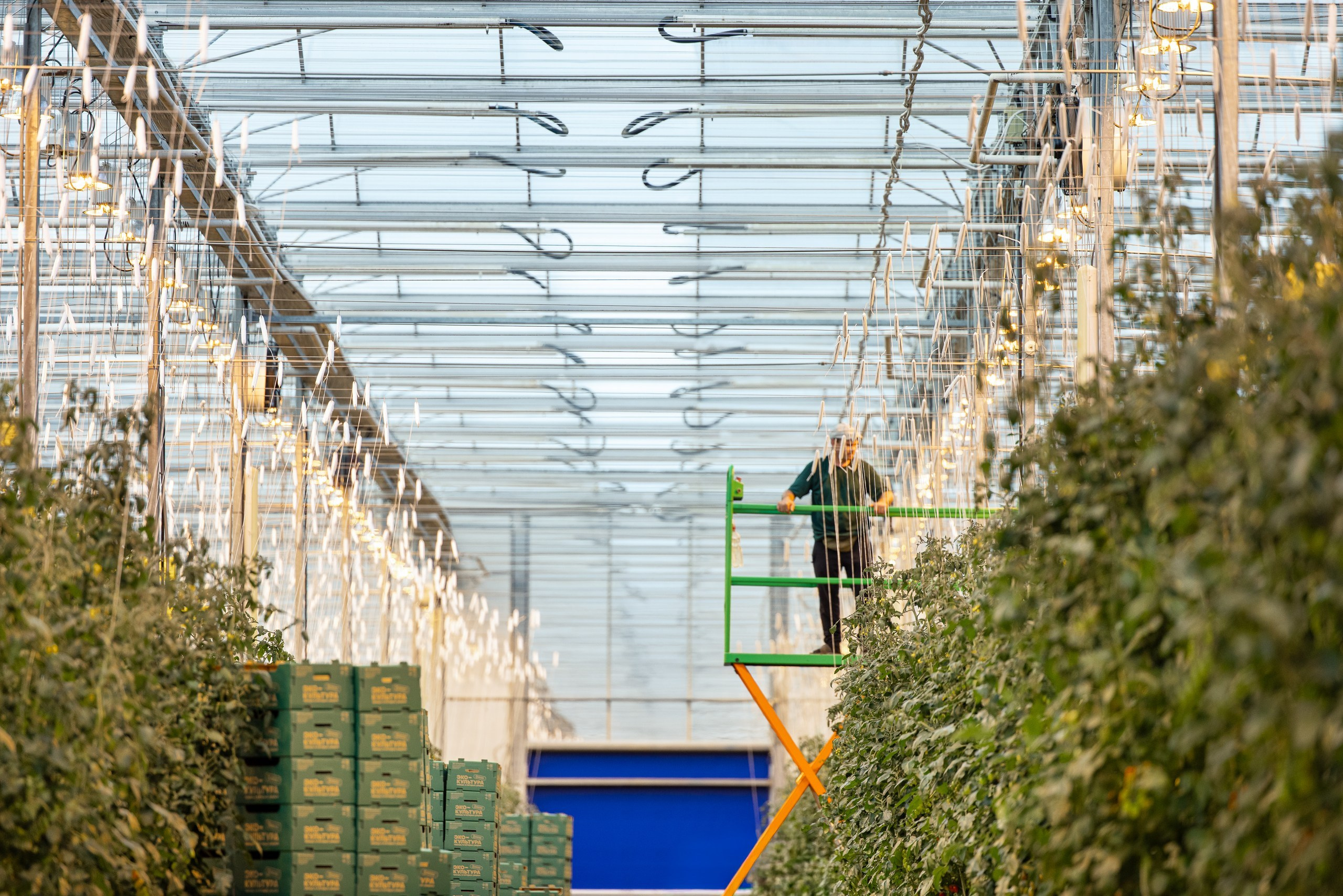 Производство. Фотограф Николай Петрушкин | Ставрополь, Москва