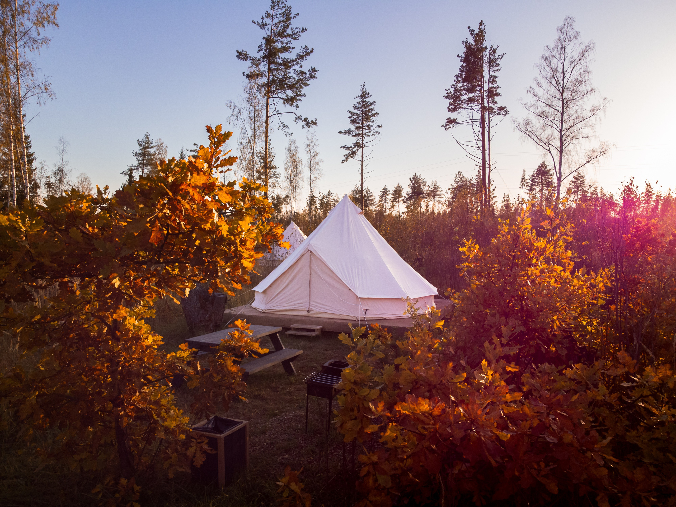 Палатка, трава, осень, лес, природа, база отдыха, загородный клуб, "ПОБЕГ ИЗ ГОРОДА"