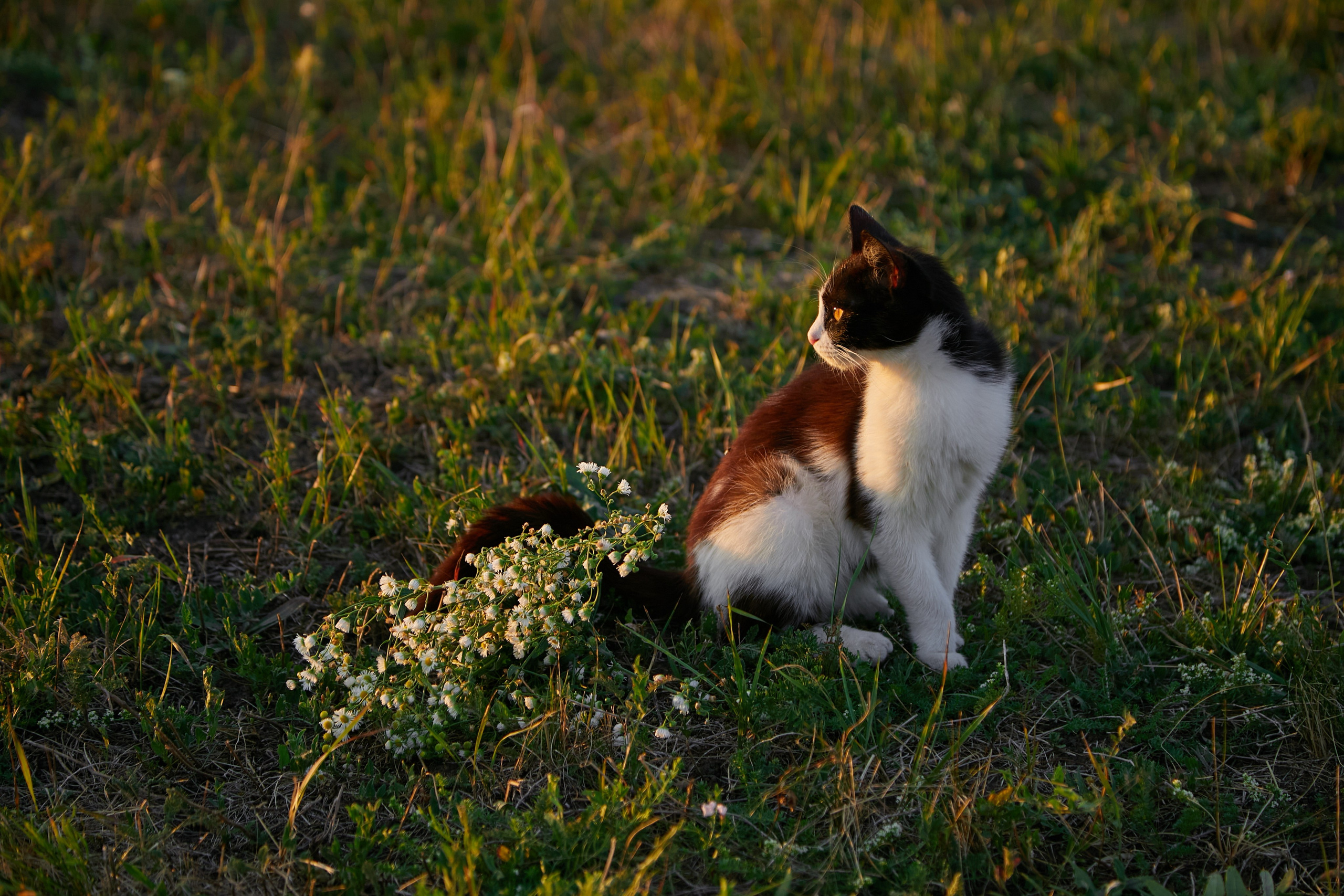 «Мирону 3 годика». Свадебный и креативный фотограф в ЮФО и МСК