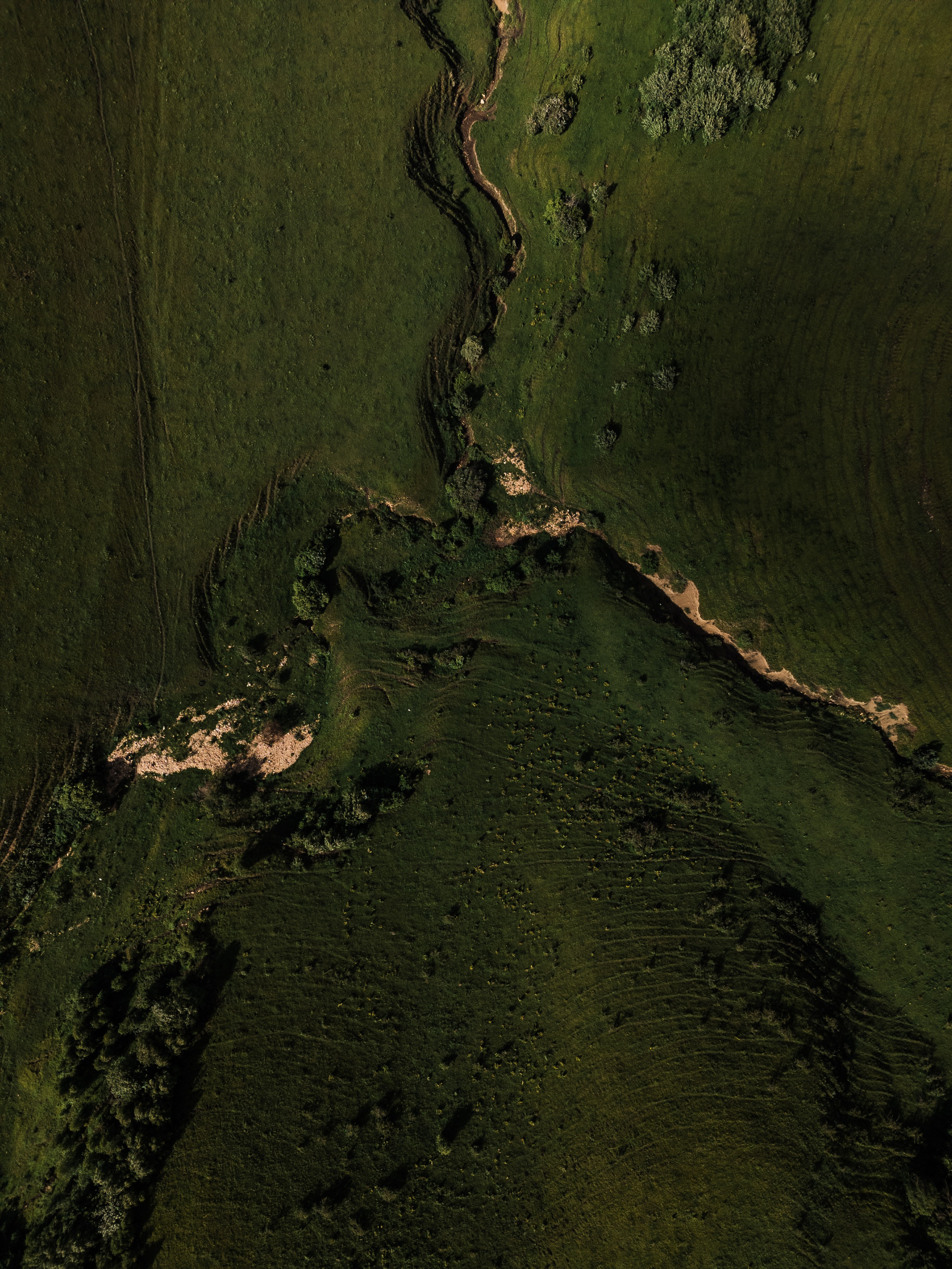 Elbrus. Свадебный и семейный фотограф в Краснодаре Роман Моско