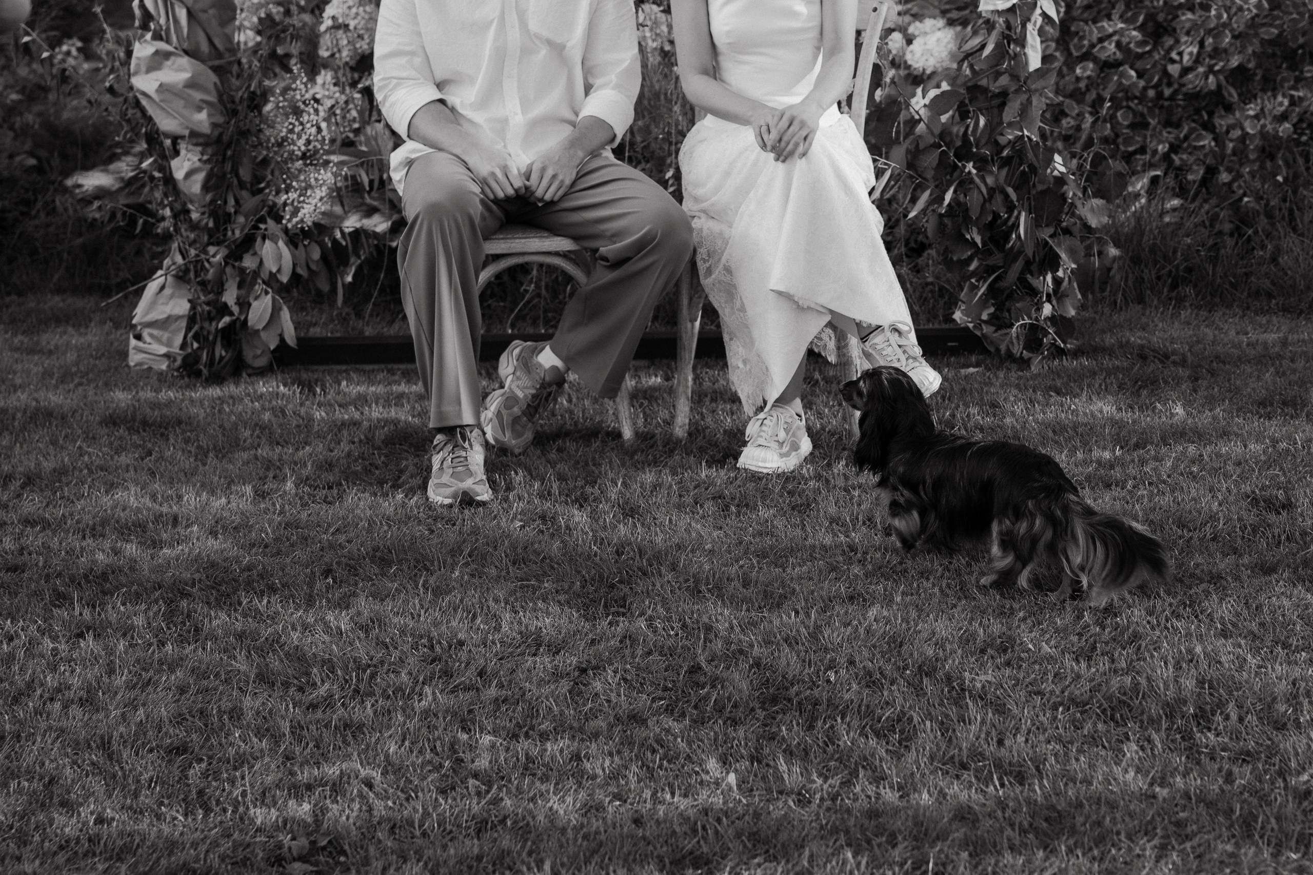 Соня и Никита. Свадебный фотограф Таня Караисаева