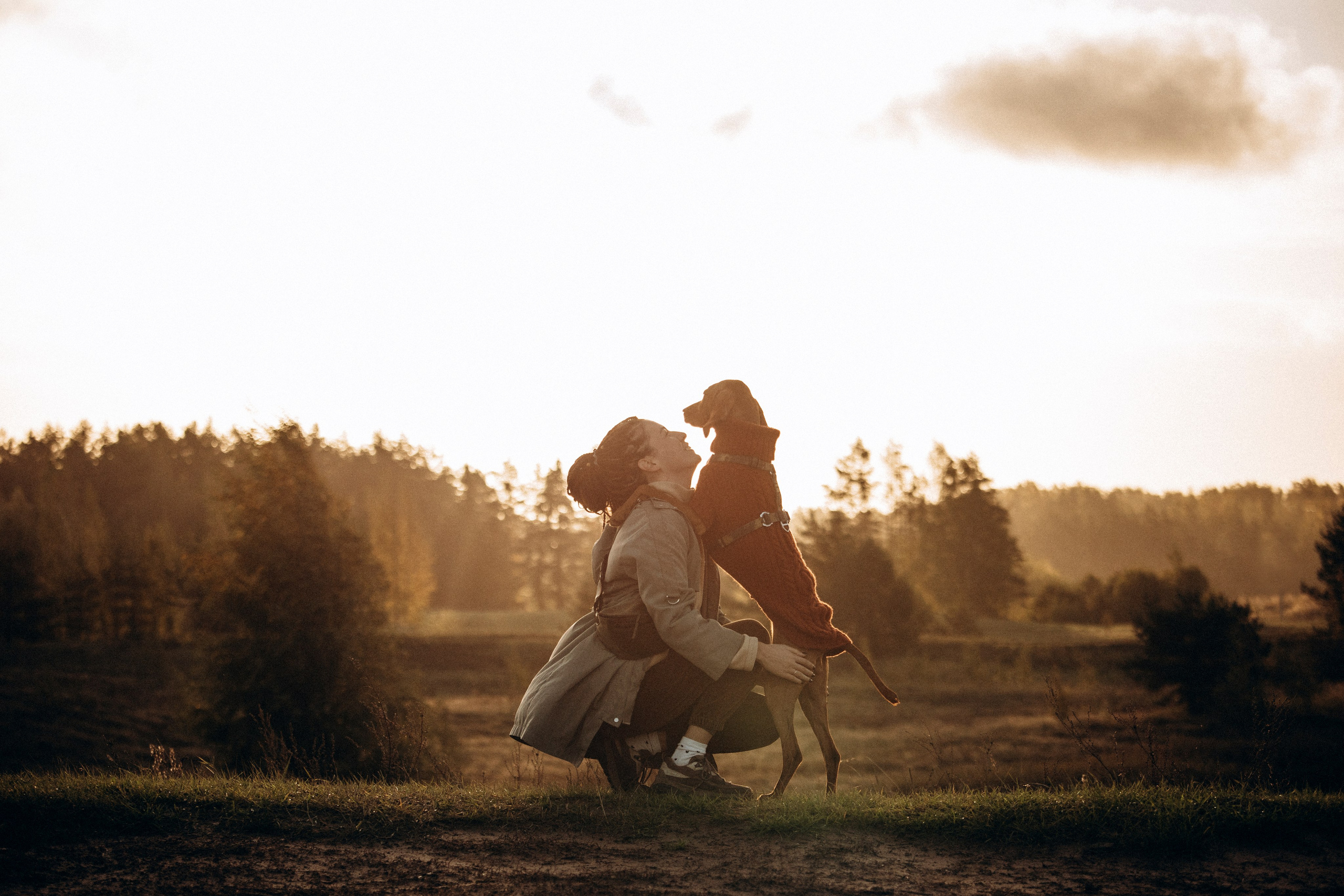 Трисс, Эста, Яся и их семья. Фотограф — Анималист | Санкт-Петербург