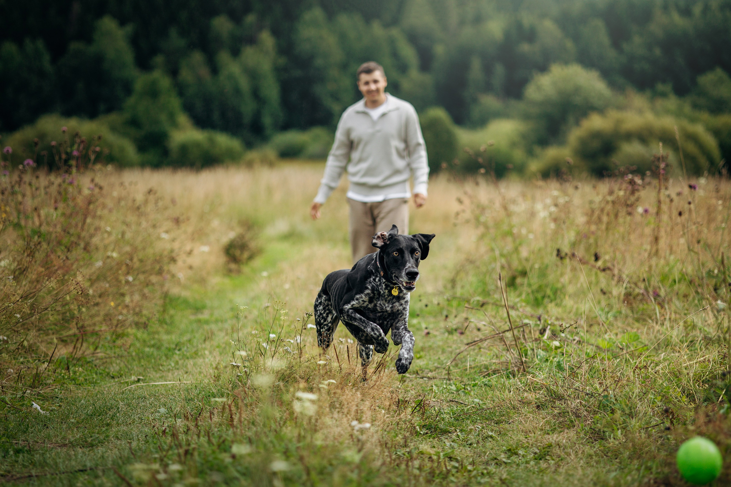 Хеликс и его семья. Фотограф — Анималист | Санкт-Петербург