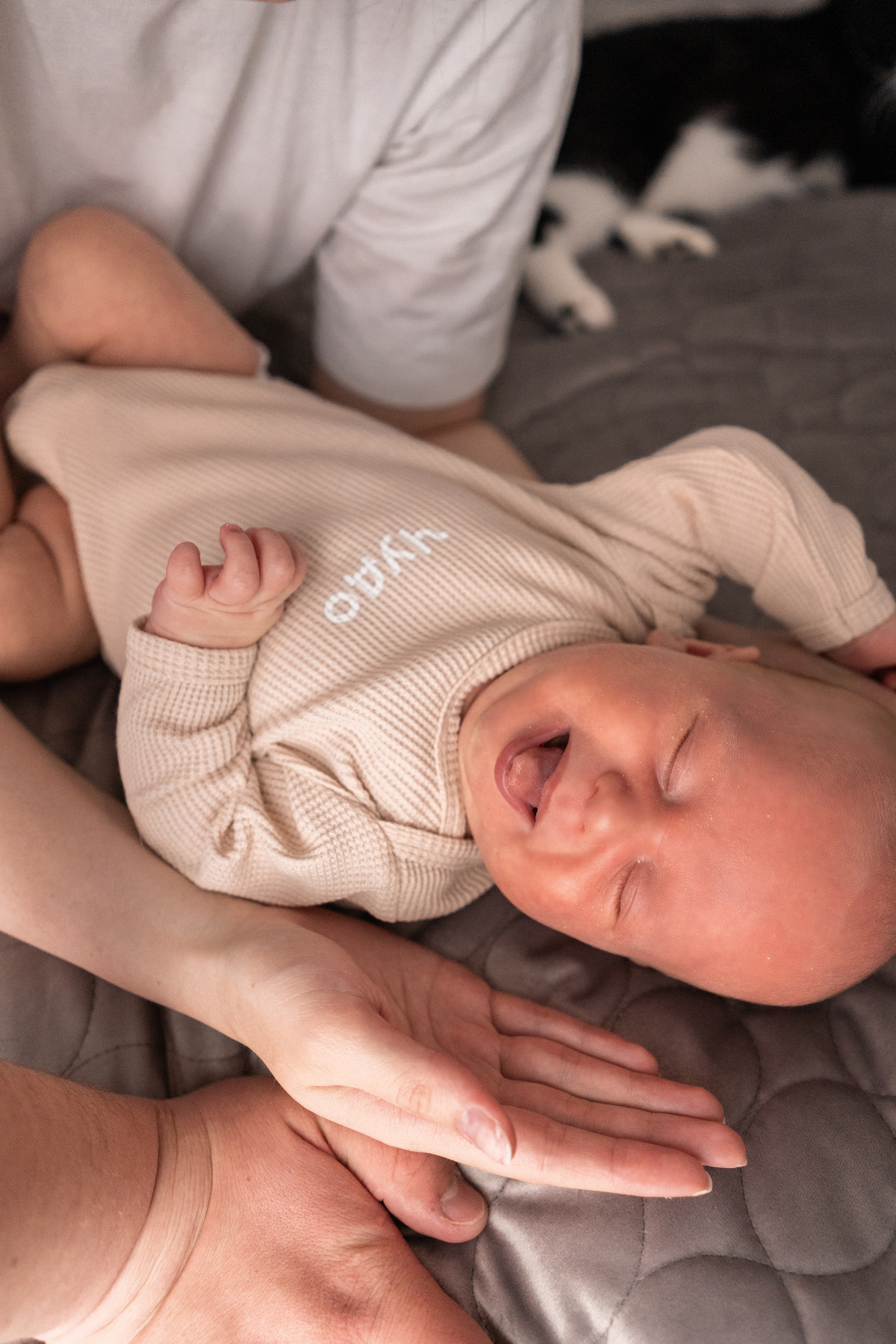 Семейная фотосессия в Москве, семейный фотограф Анна Полушина. Свадебный фотограф в Москве Анна Полушина