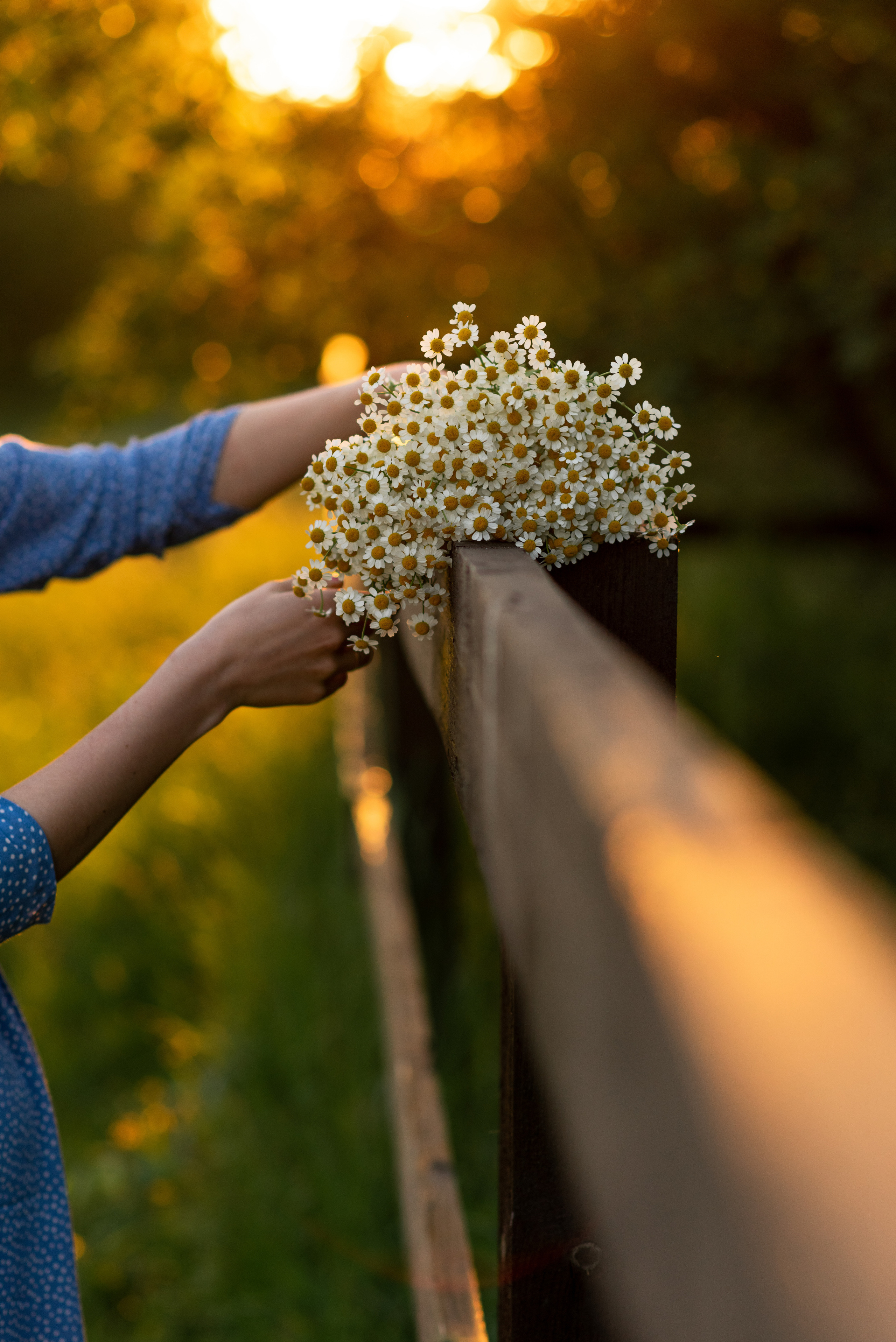 Юля в Коломенском. Свадебный фотограф в Москве Анна Полушина