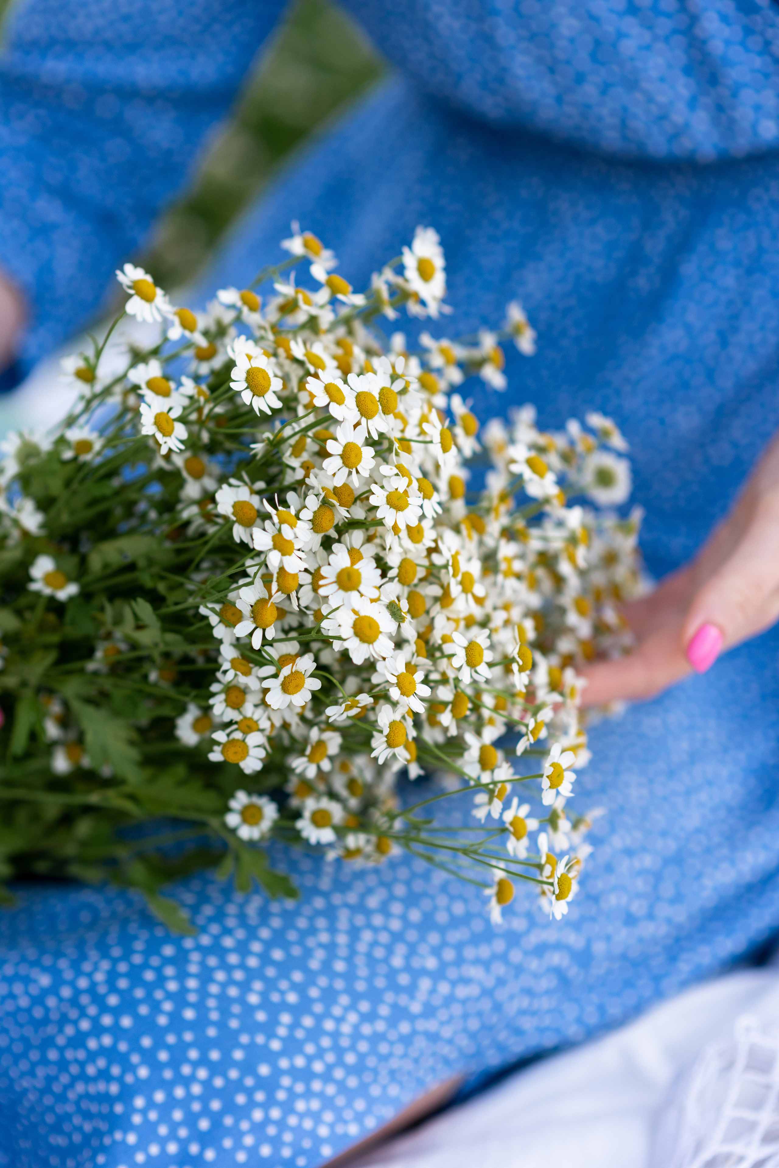 Юля в Коломенском. Свадебный фотограф в Москве Анна Полушина