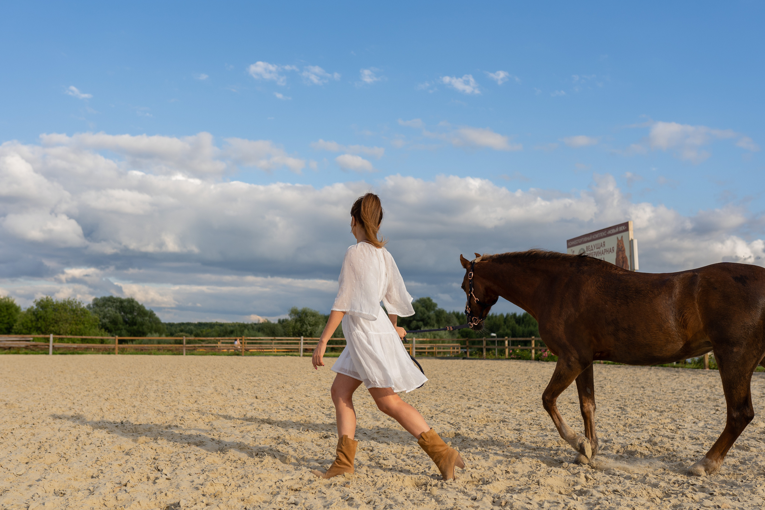 Алена, конный клуб Новый век. Свадебный фотограф в Москве Анна Полушина