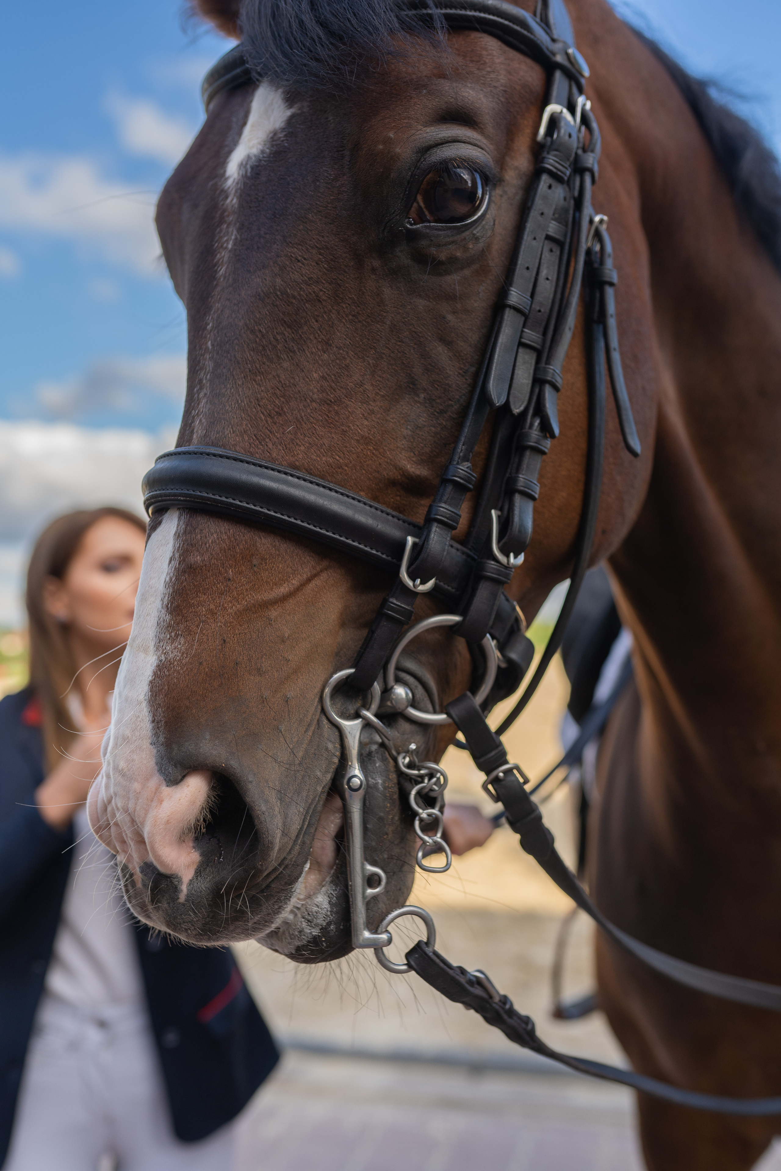 Алена, конный клуб Новый век. Свадебный фотограф в Москве Анна Полушина