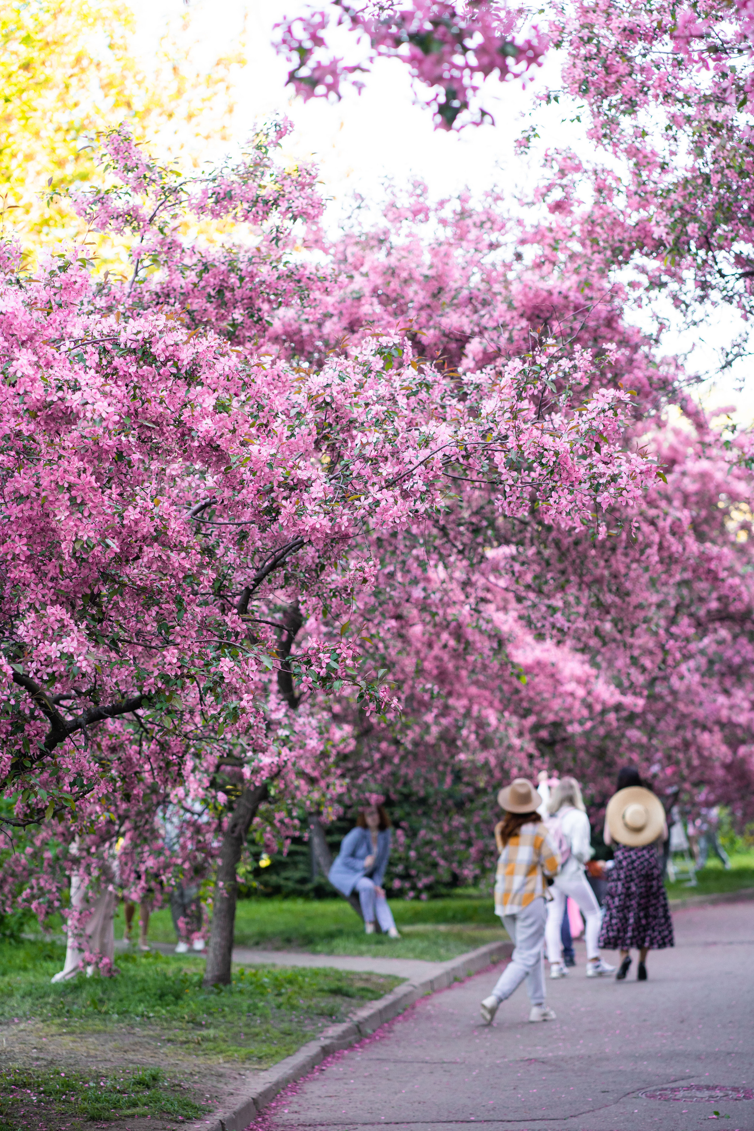 Семейная фотосессия в студии в Москве, семейный фотограф Анна Полушина. Свадебный фотограф в Москве Анна Полушина