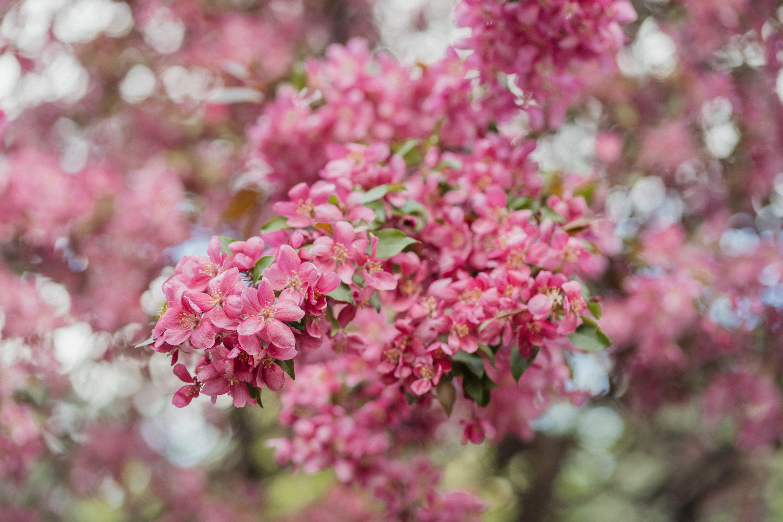 Семейная фотосессия в студии в Москве, семейный фотограф Анна Полушина. Свадебный фотограф в Москве Анна Полушина