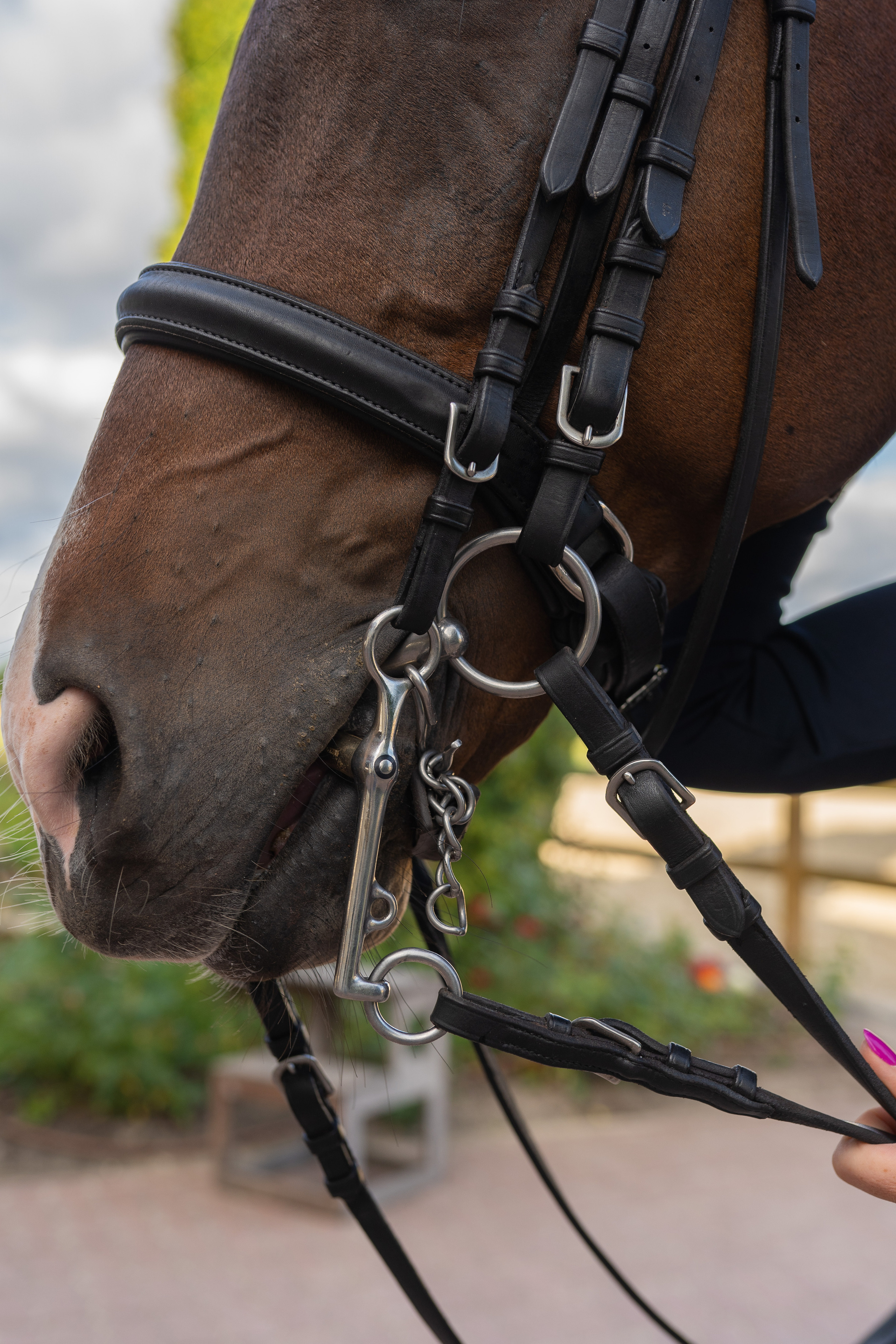 Алена, конный клуб Новый век. Свадебный фотограф в Москве Анна Полушина