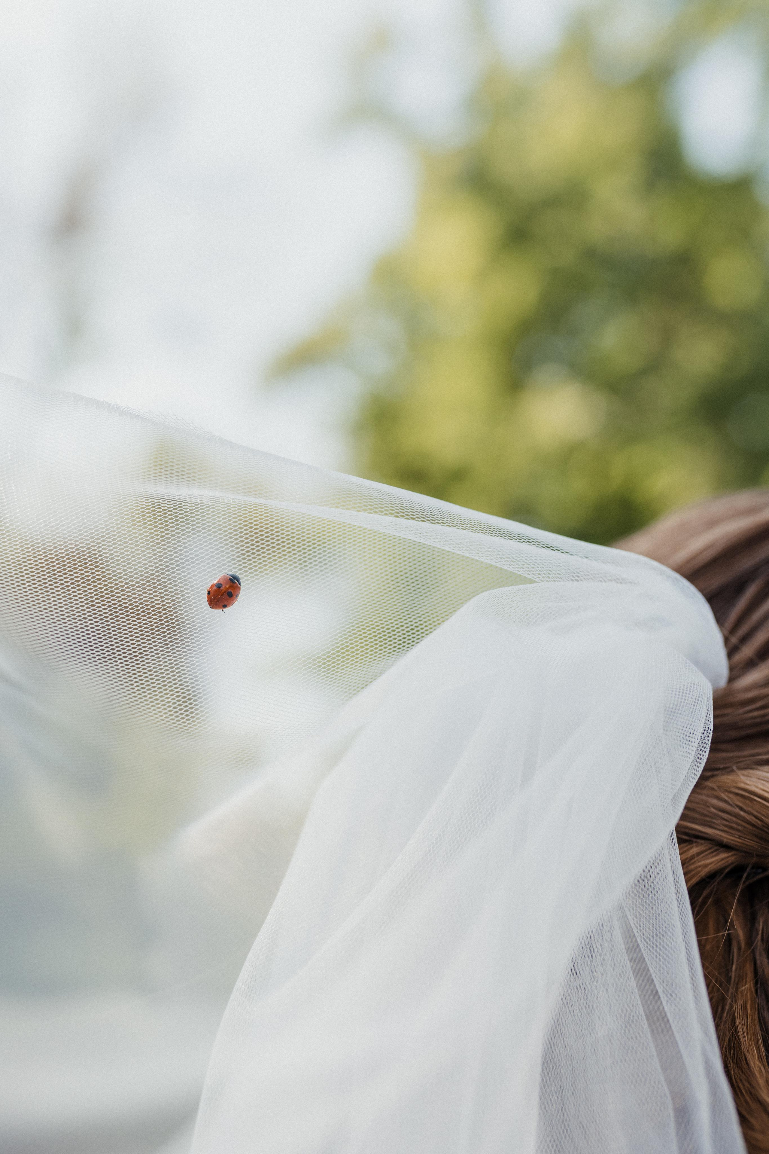 Свадьба Ксюша и Денис. Свадебный фотограф в Москве Анна Полушина