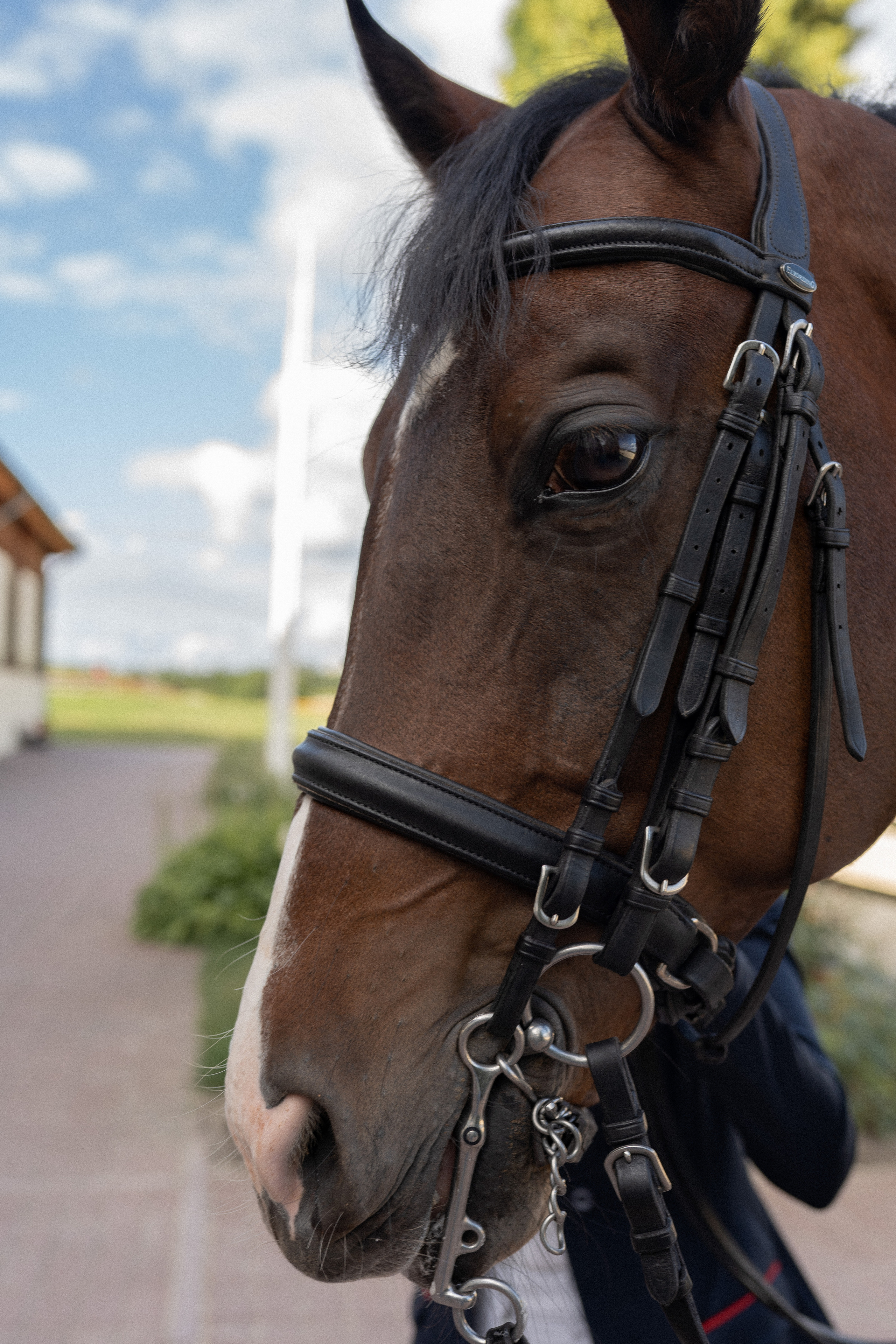 Алена, конный клуб Новый век. Свадебный фотограф в Москве Анна Полушина